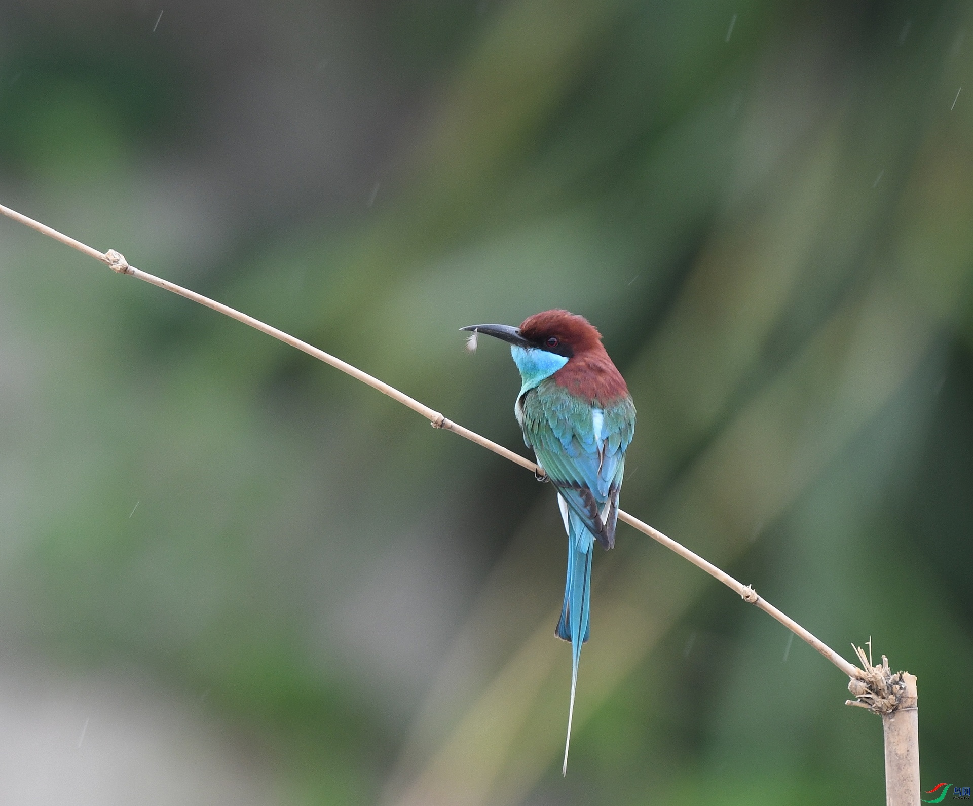 DSC_0780.jpg