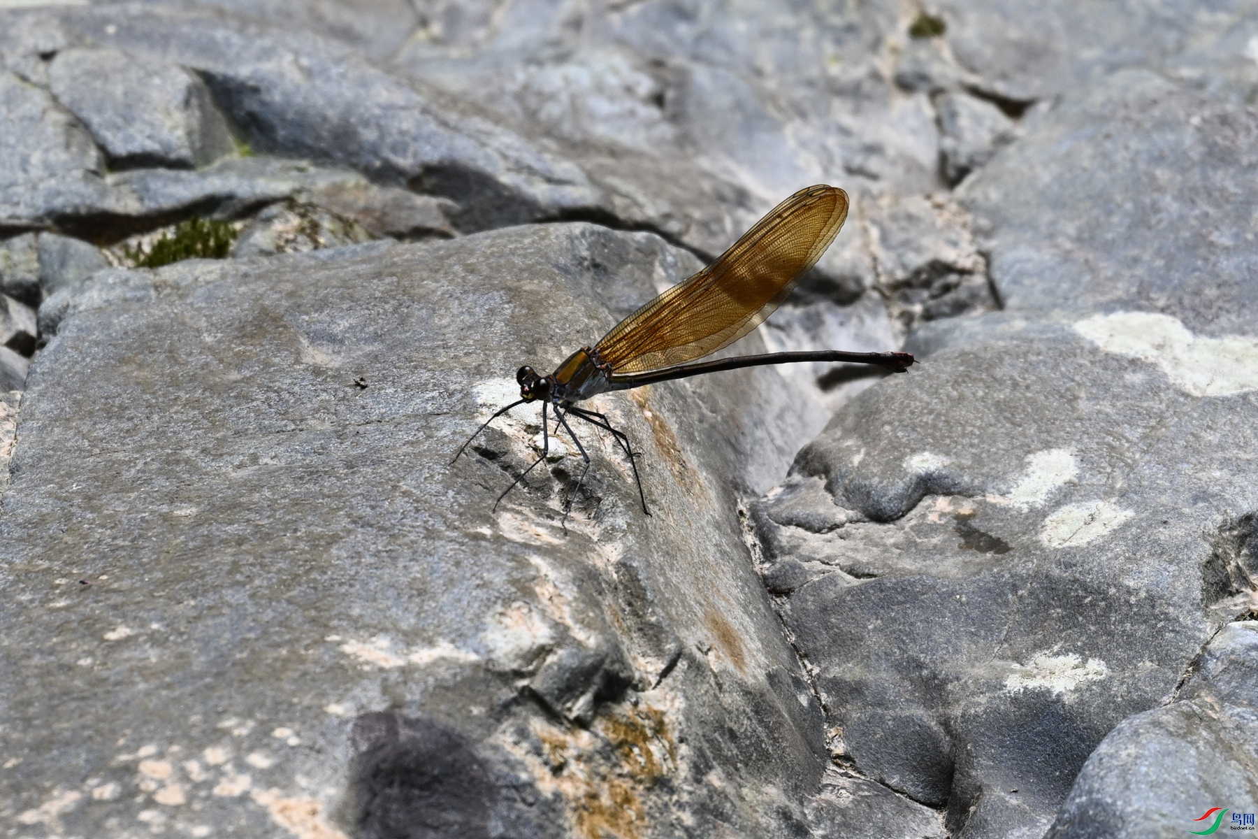 DSC_2261.JPG
