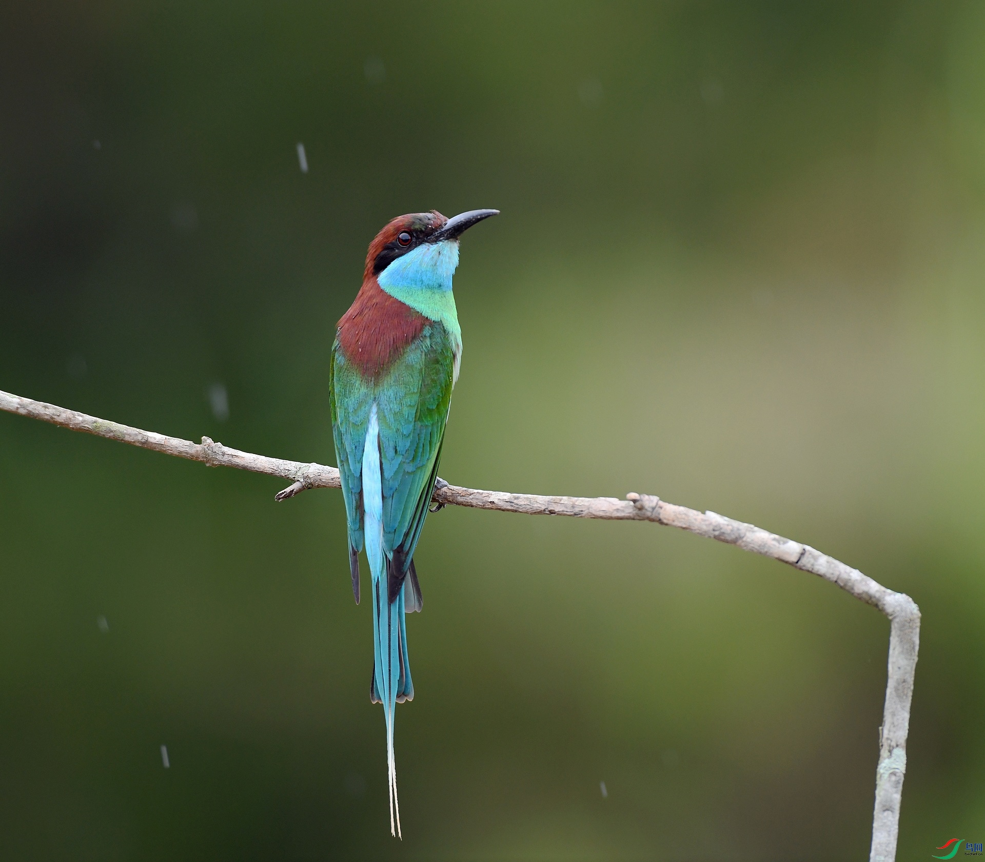 DSC_1795.jpg