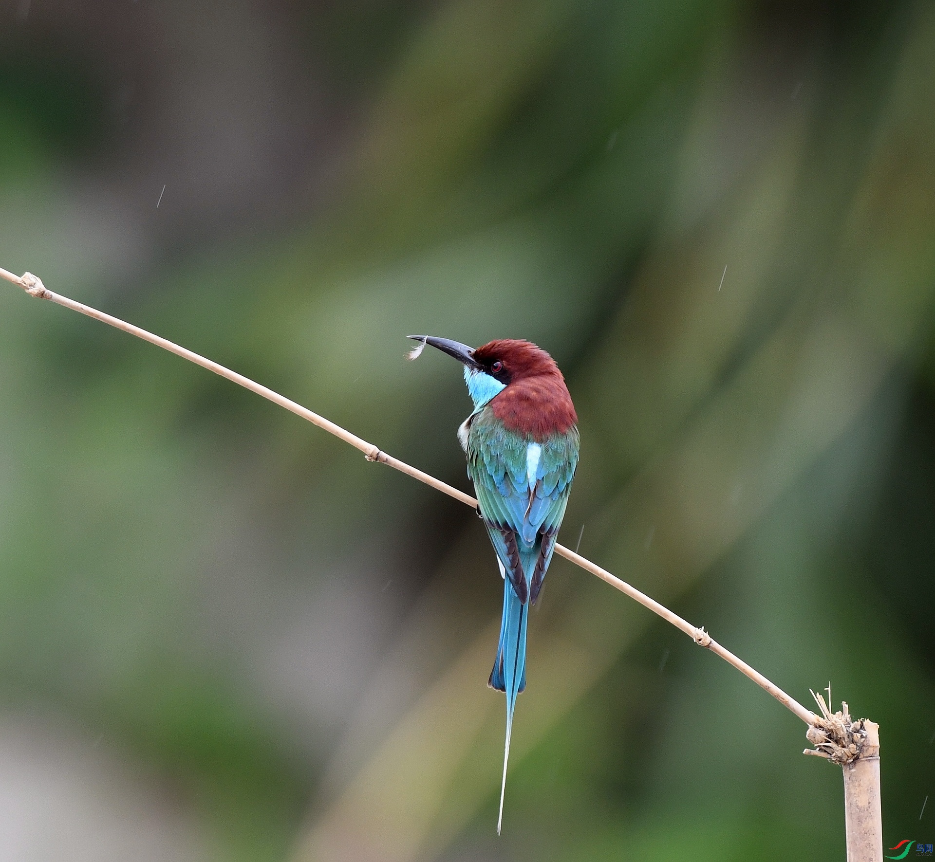 DSC_0784.jpg