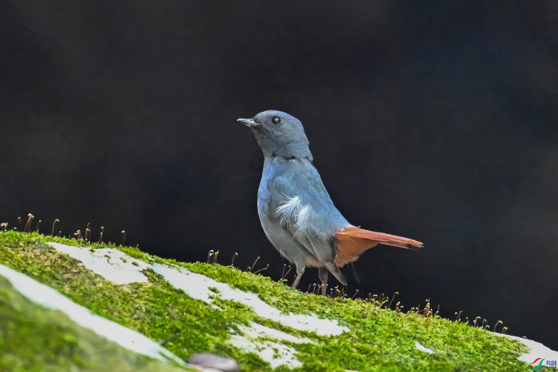 DSC_2316.JPG