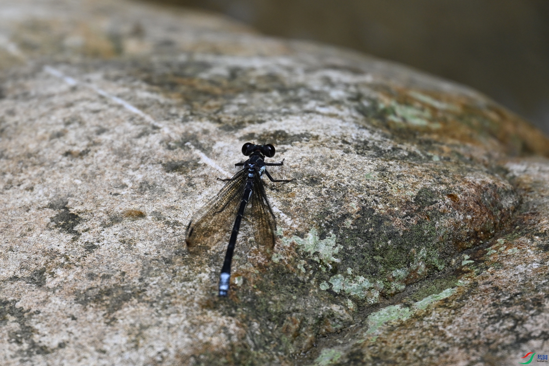 DSC_2267.JPG