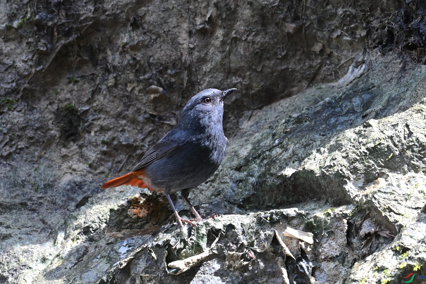 DSC_2240.JPG
