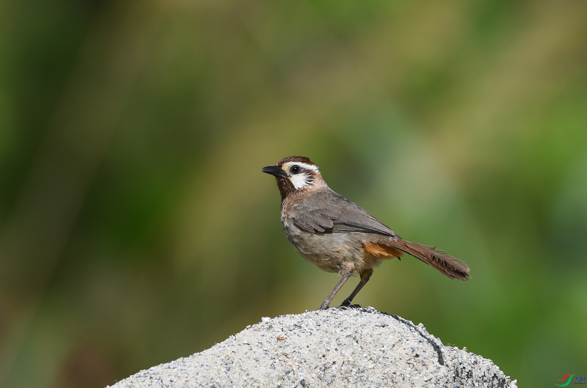 DSC_8969.jpg