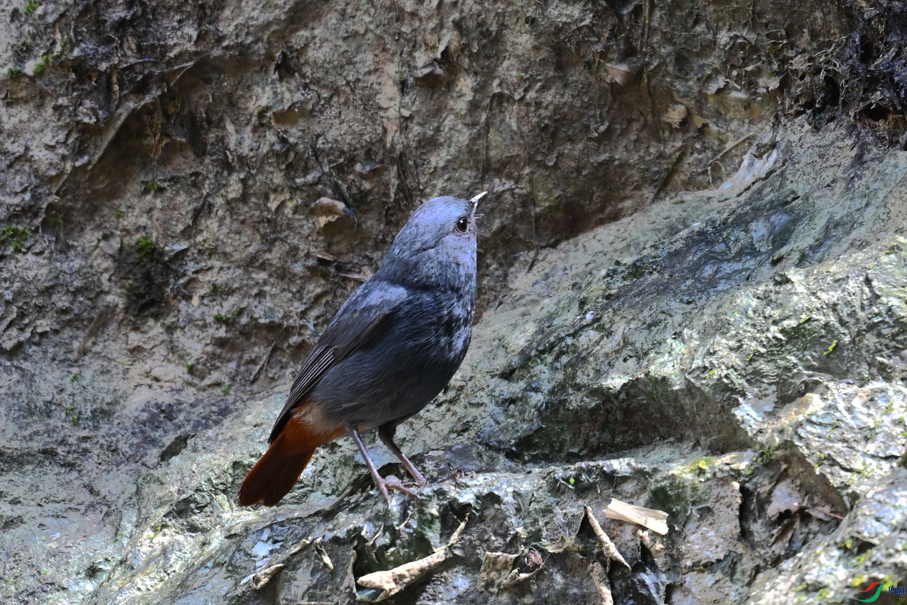 DSC_2241.JPG