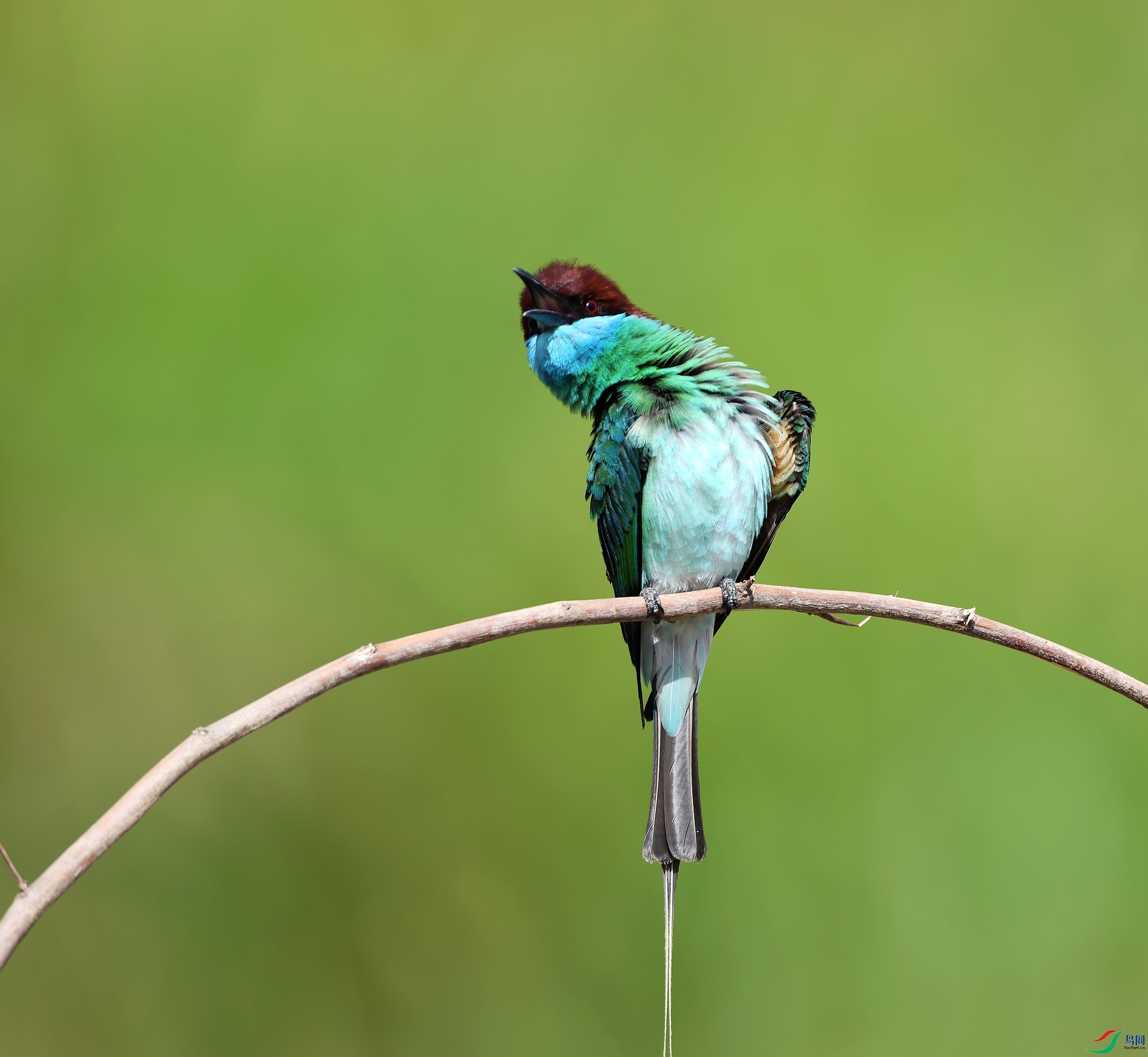 DSC_3731.jpg