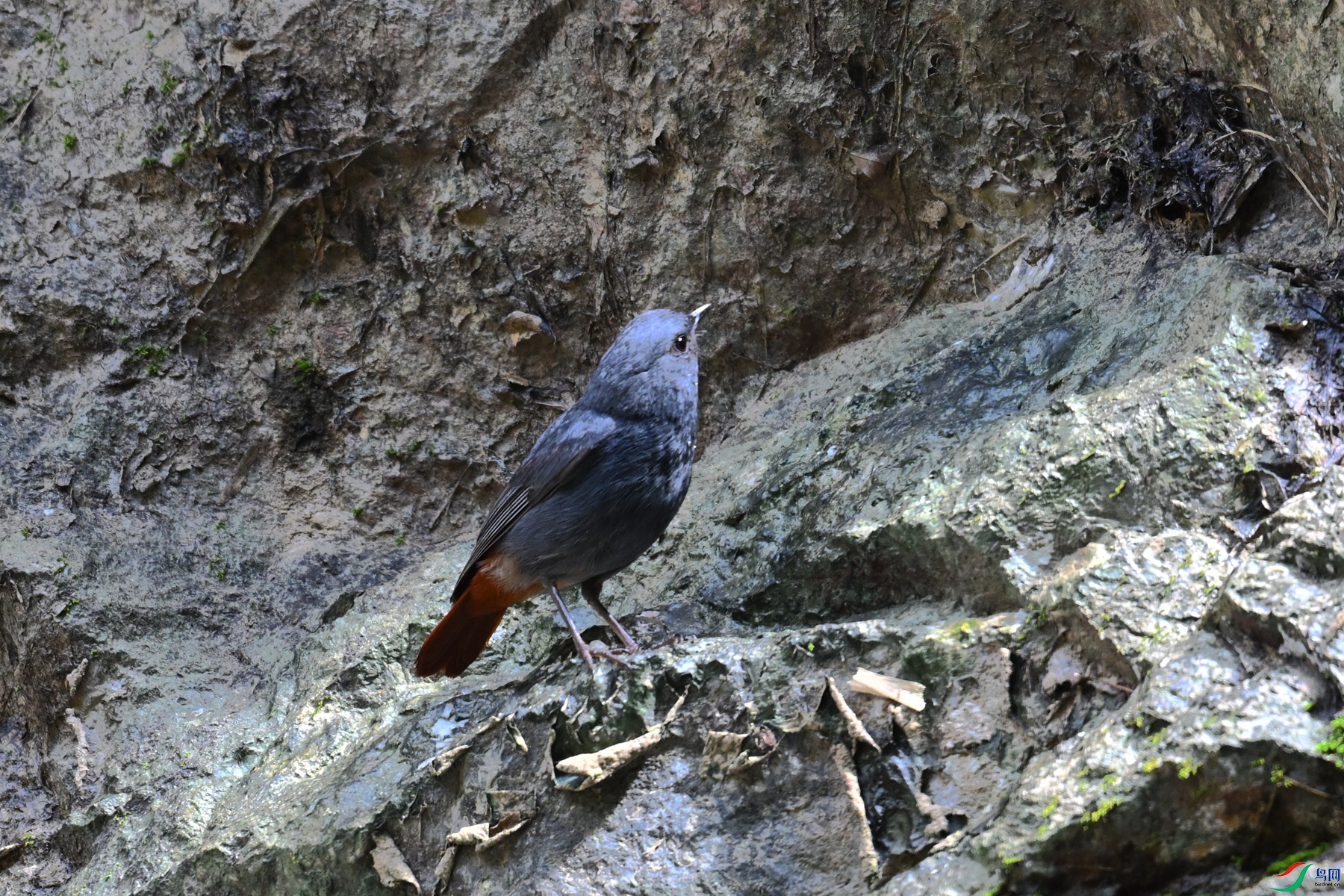 DSC_2242.JPG