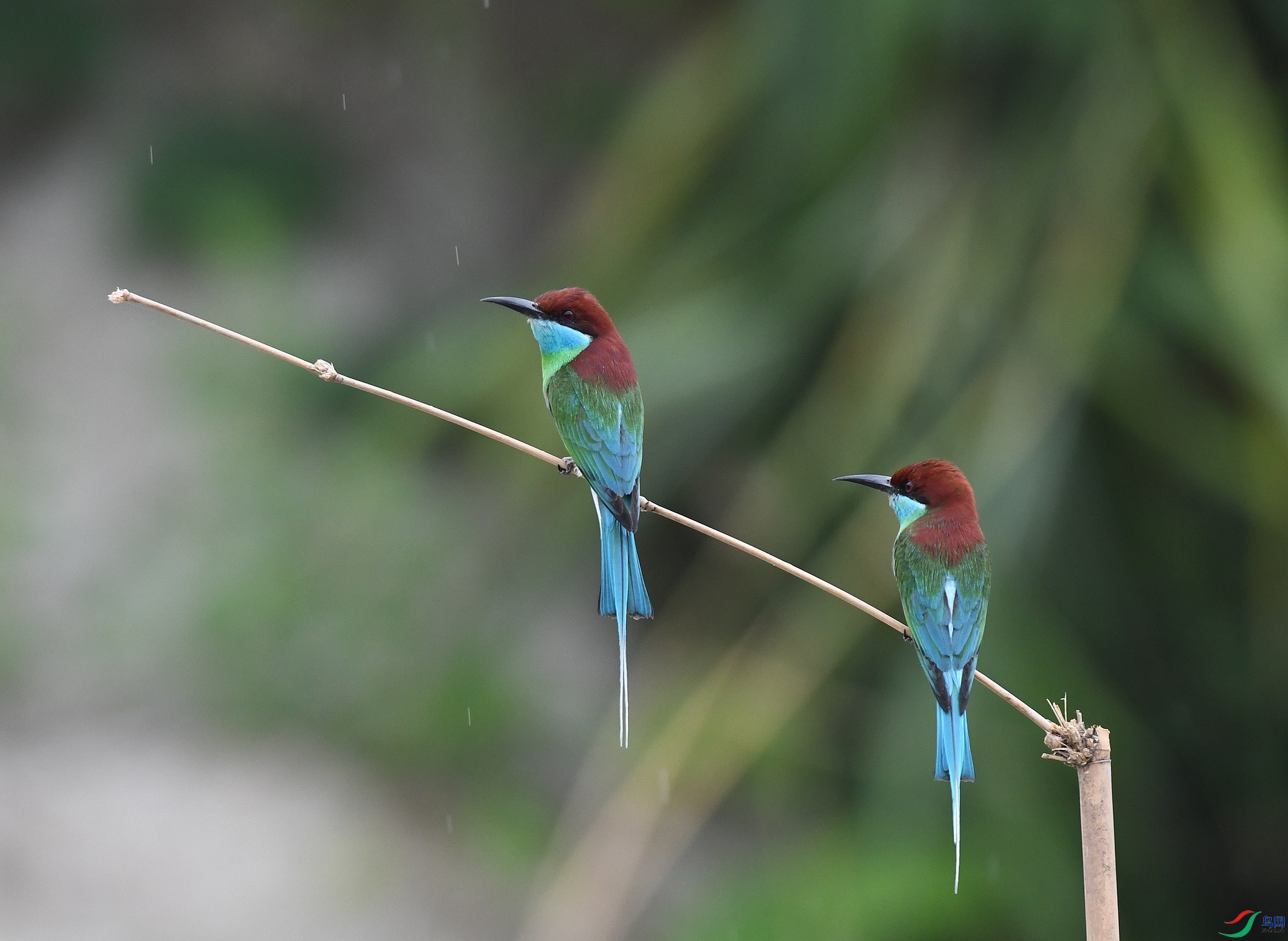 DSC_0641.jpg