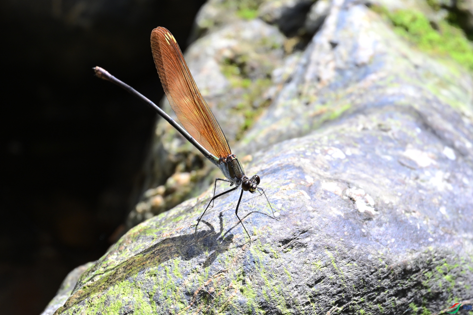 DSC_2262.JPG