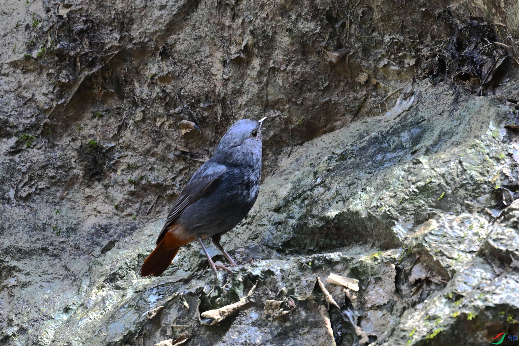 DSC_2243.JPG