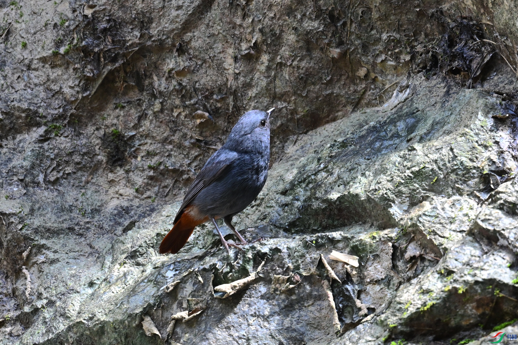 DSC_2244.JPG