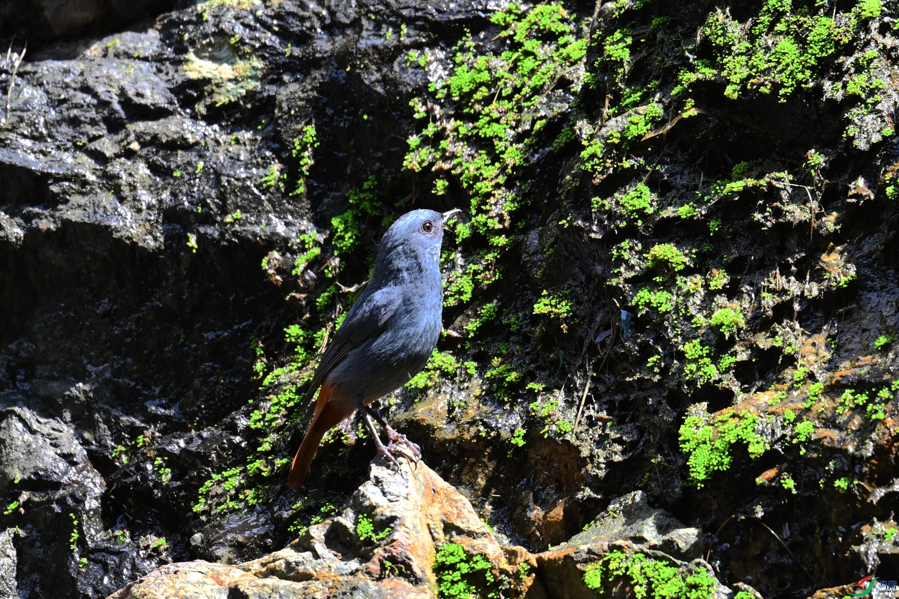 DSC_2249.JPG