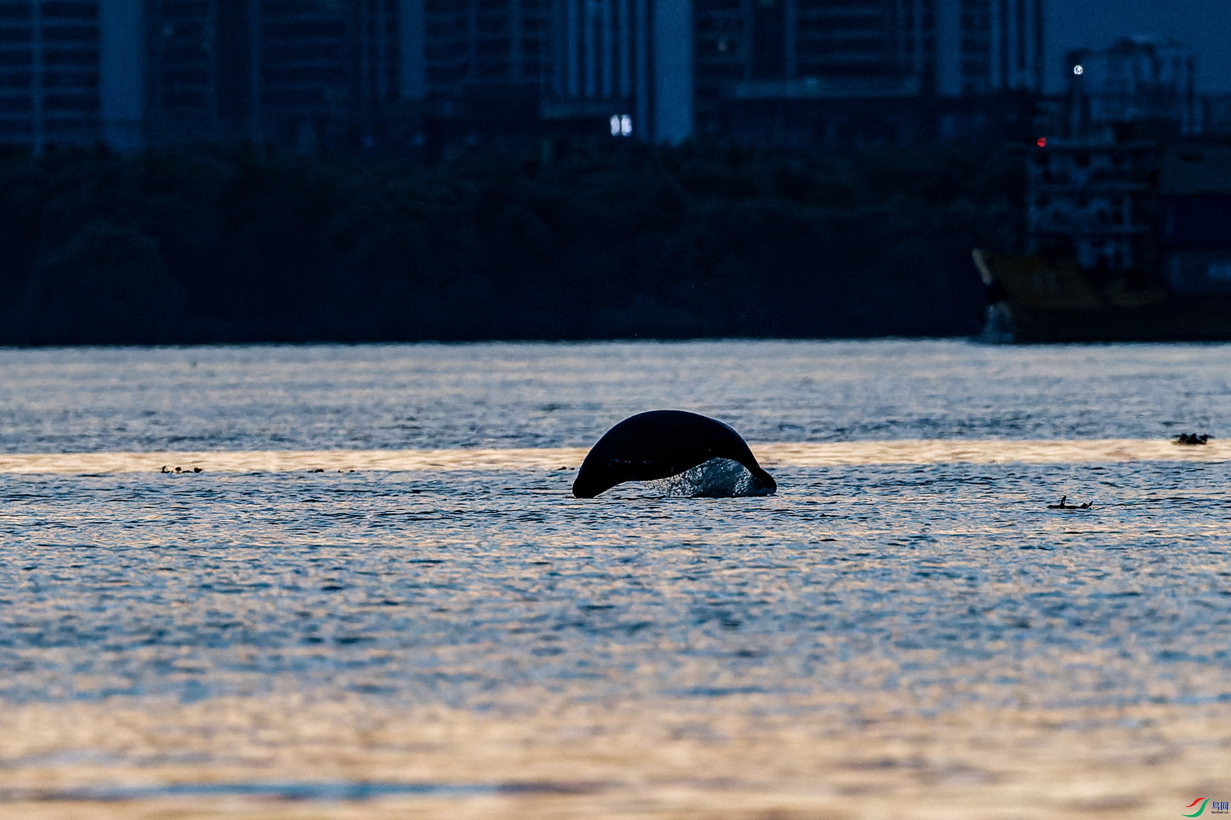 1DX_3863-CR2_DxO_DeepPRIME-1.jpg