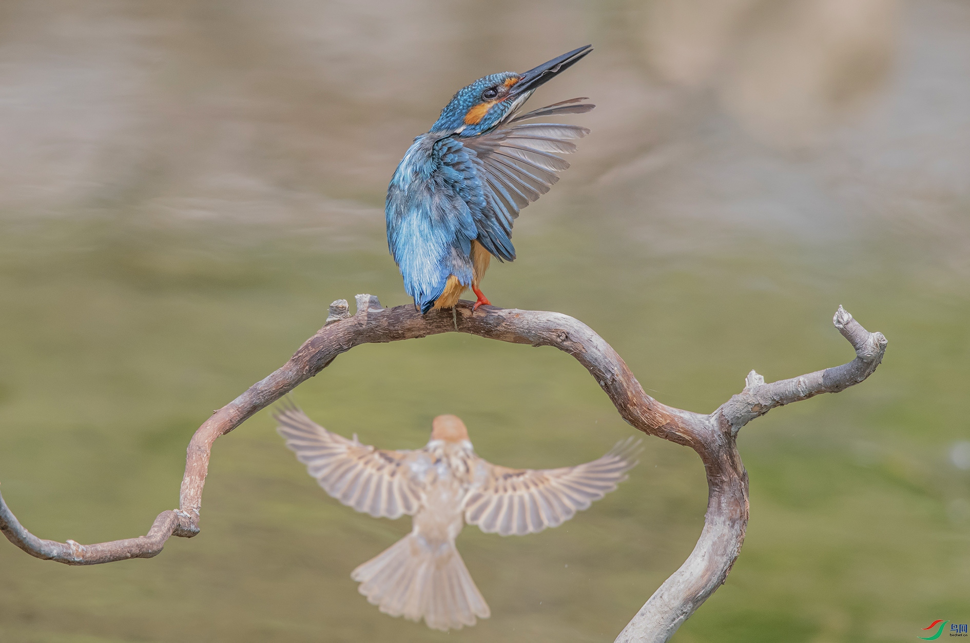 DSC_3714_��ͼ�� ���� 2.jpg