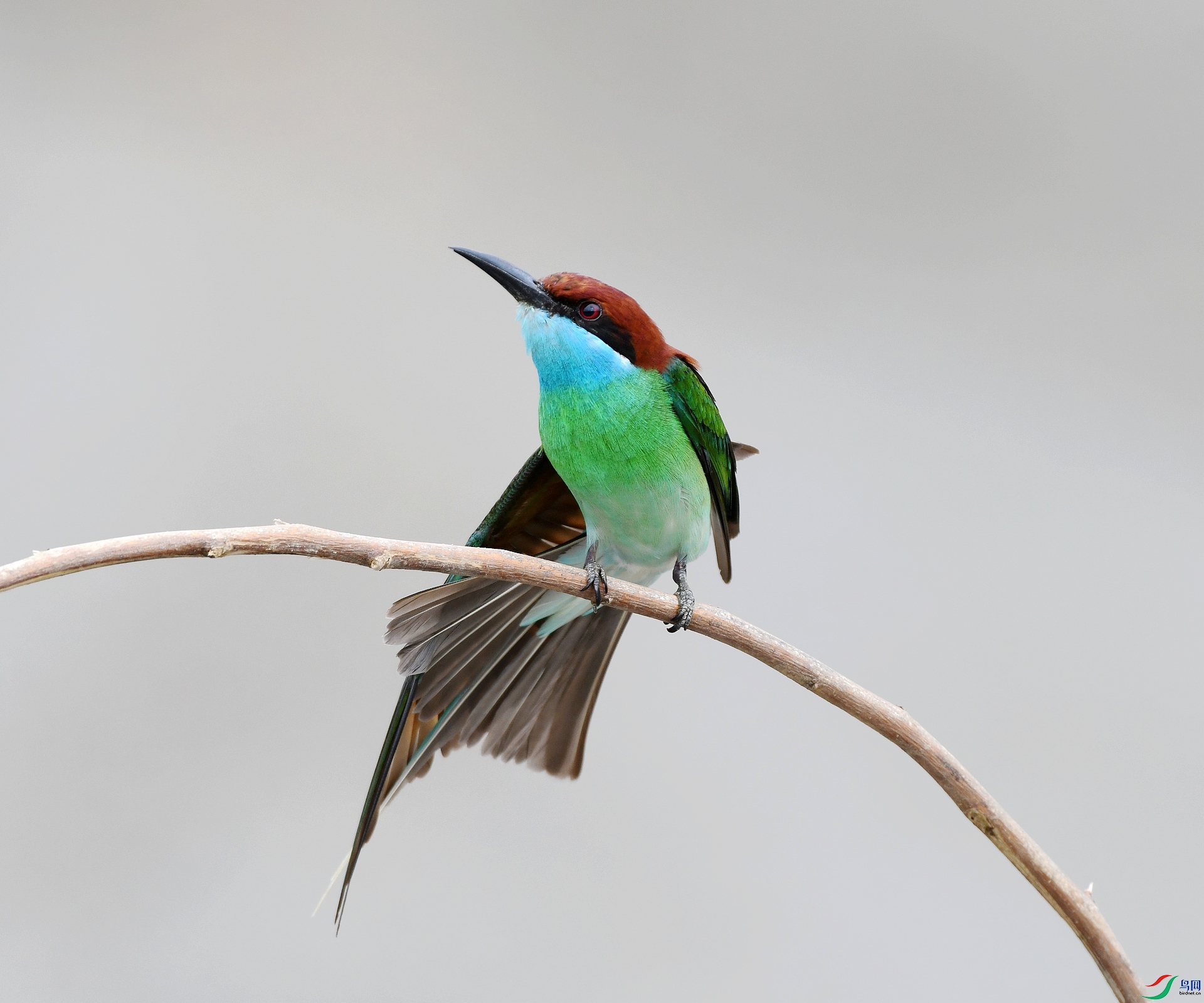 DSC_2478.jpg