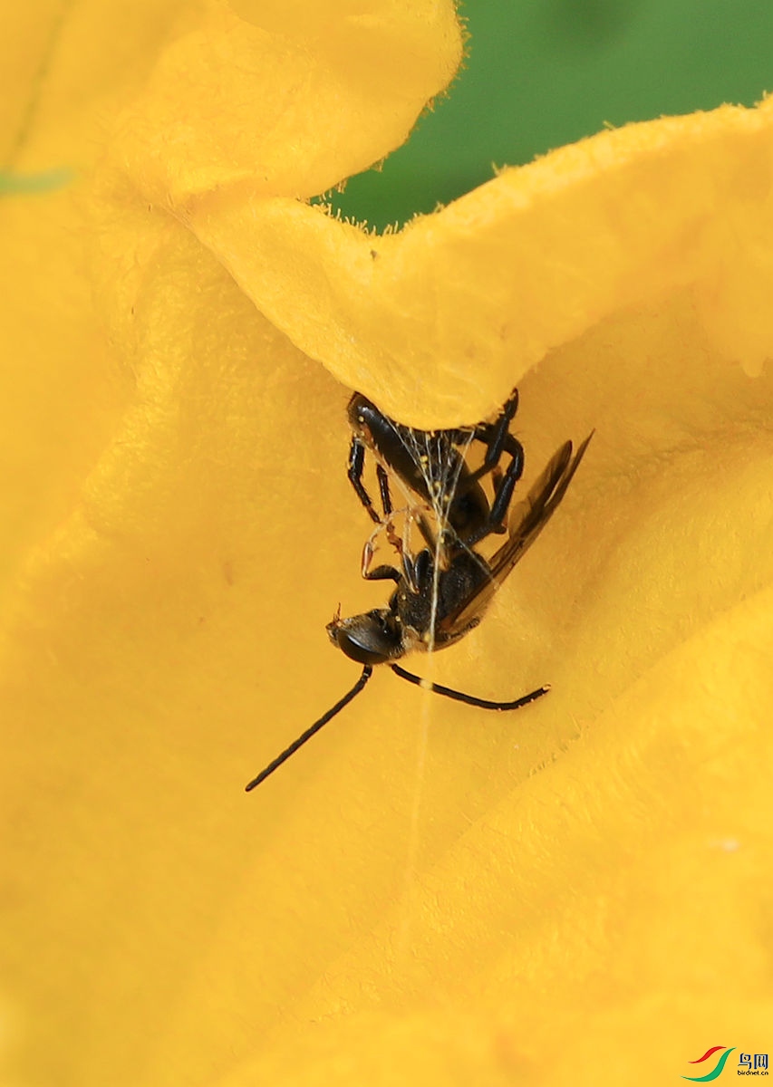 BO7A9901.JPG