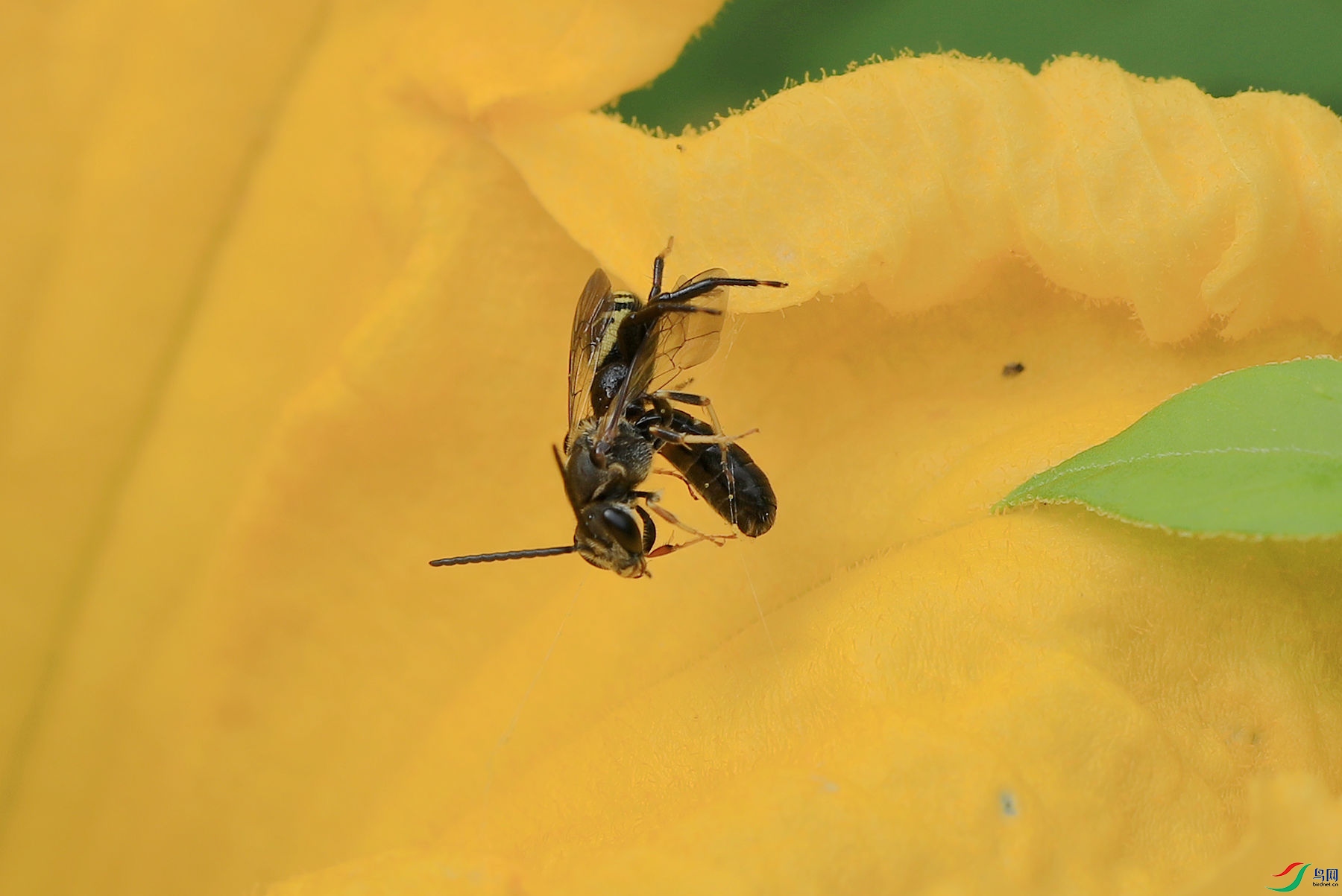 BO7A9887.JPG