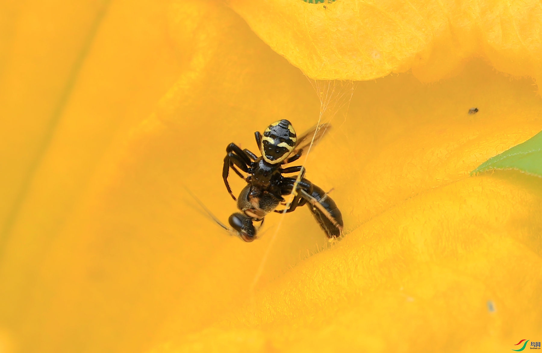 BO7A9894.JPG