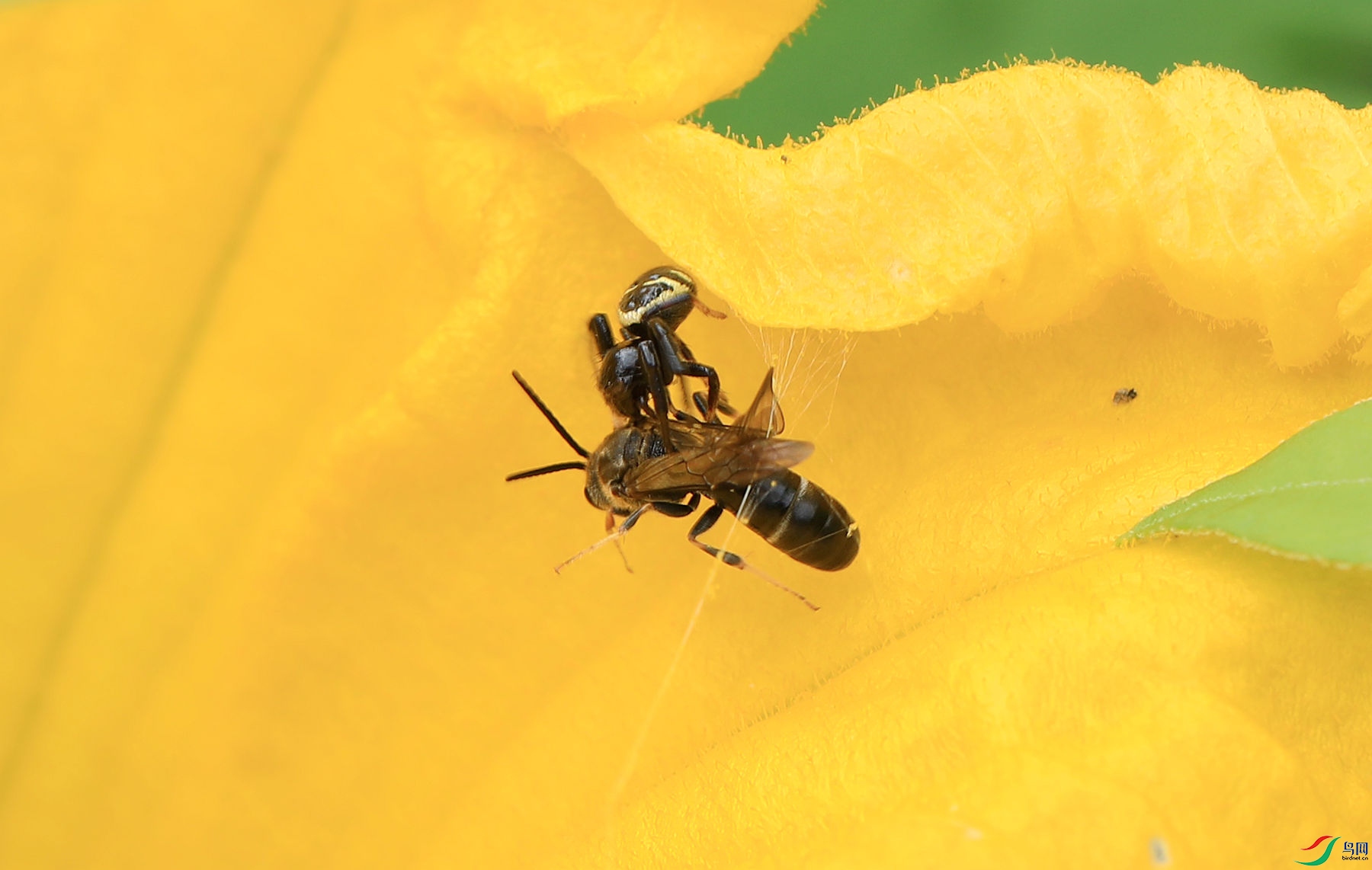 BO7A9892.JPG