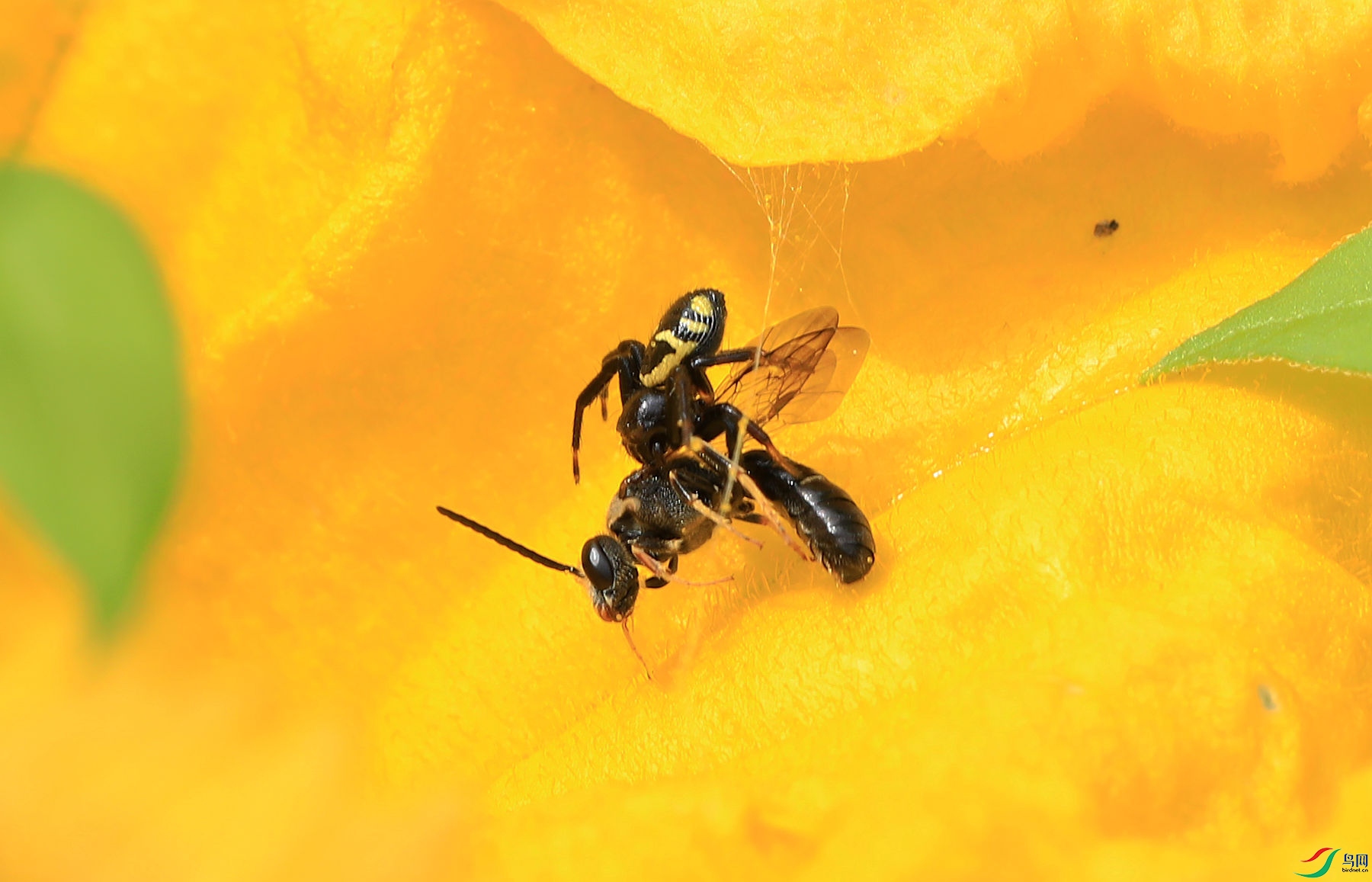 BO7A9896.JPG