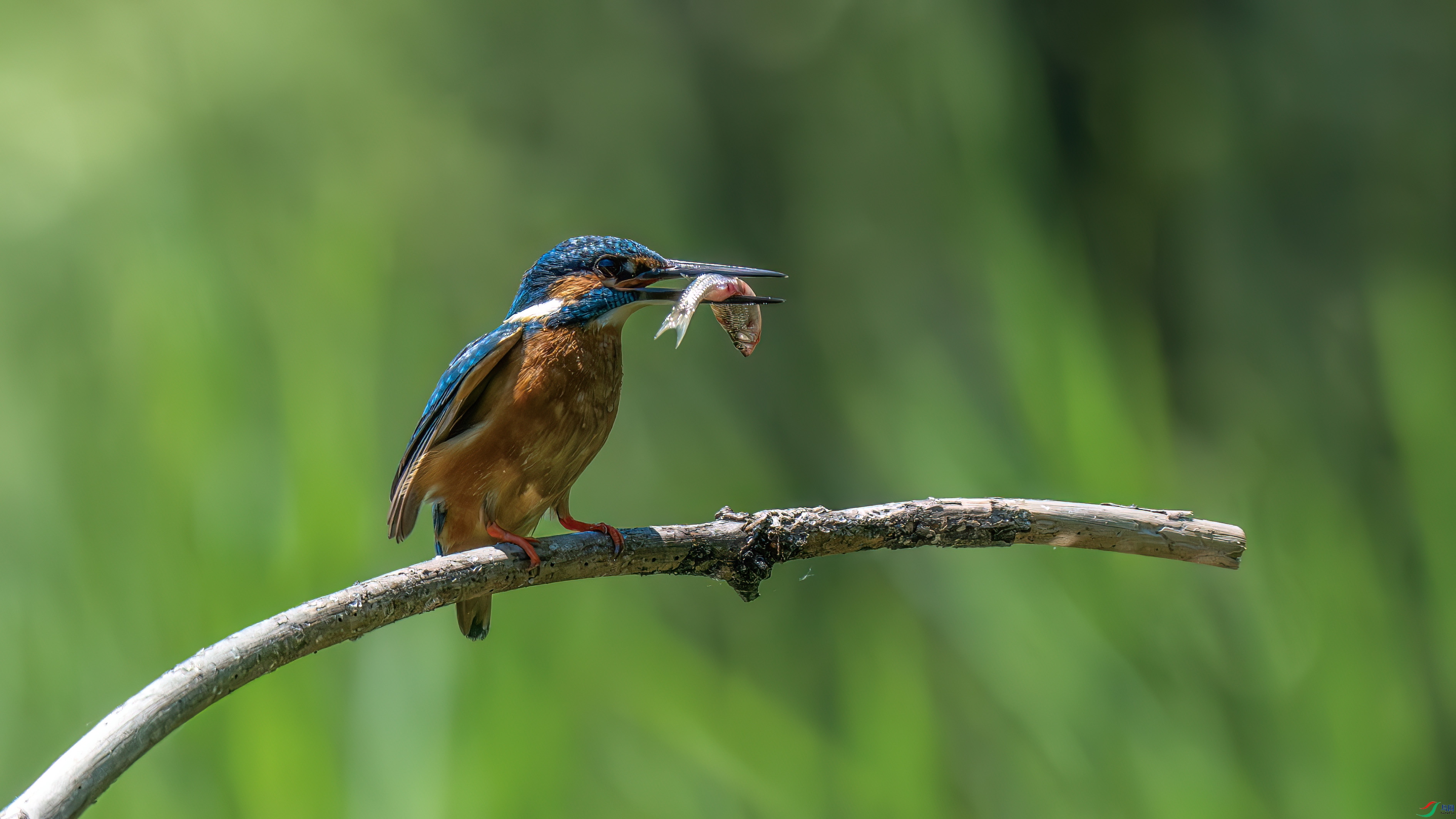 DSC_1101.jpg