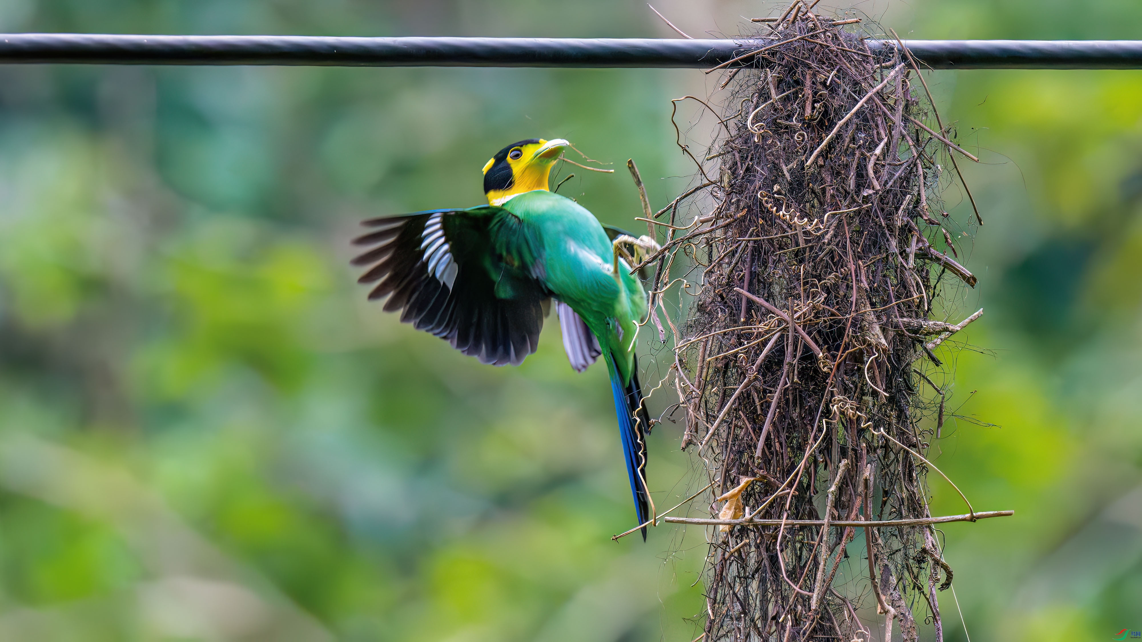 DSC_1564.jpg