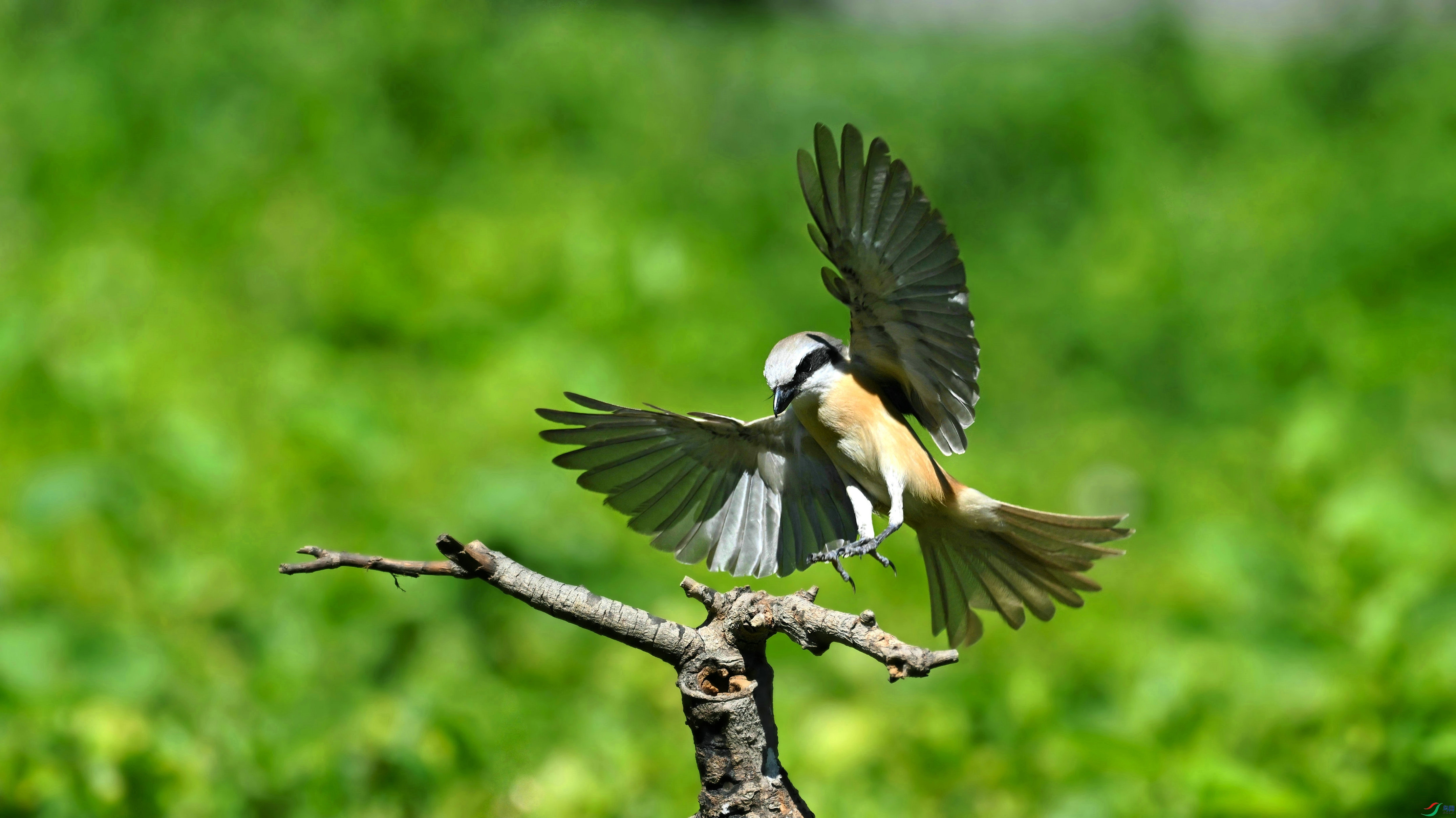 DSC_9710.JPG