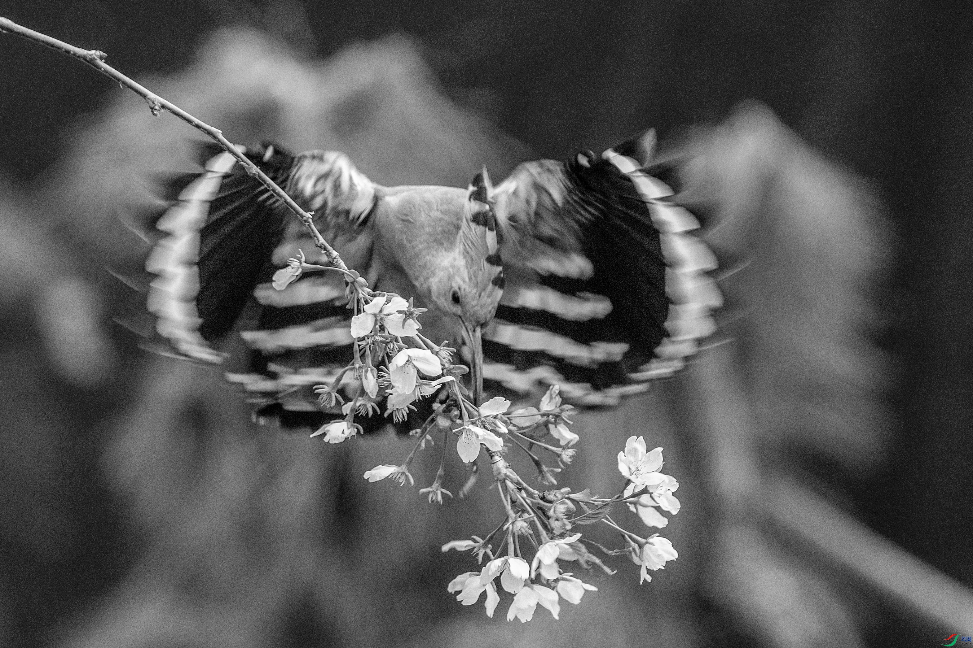 XT5A4688hb 26-7-13.jpg