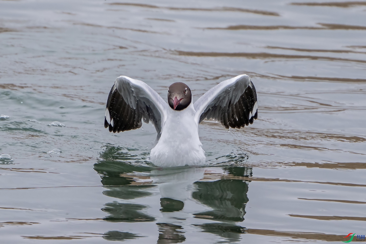 DSC_8194.jpg