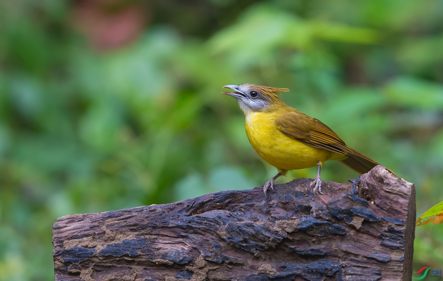 DSC_6233.jpg