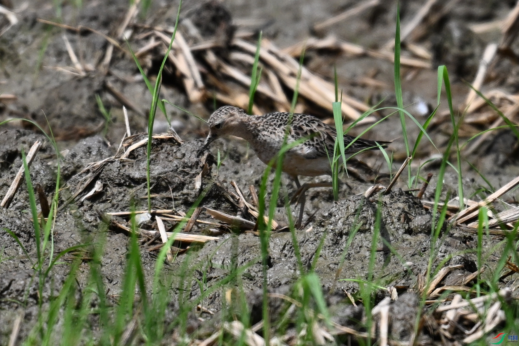 DSC_4839.JPG
