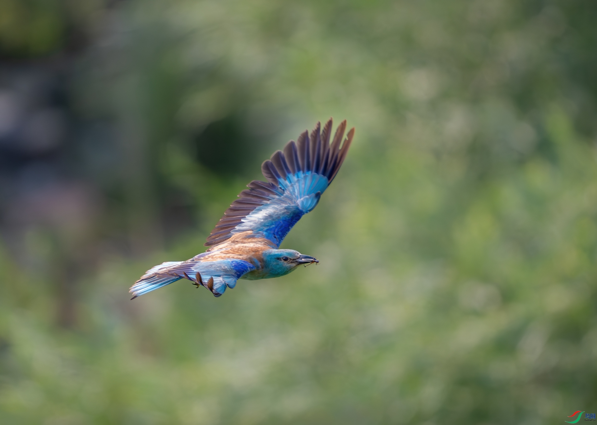 DSC_8076.jpg