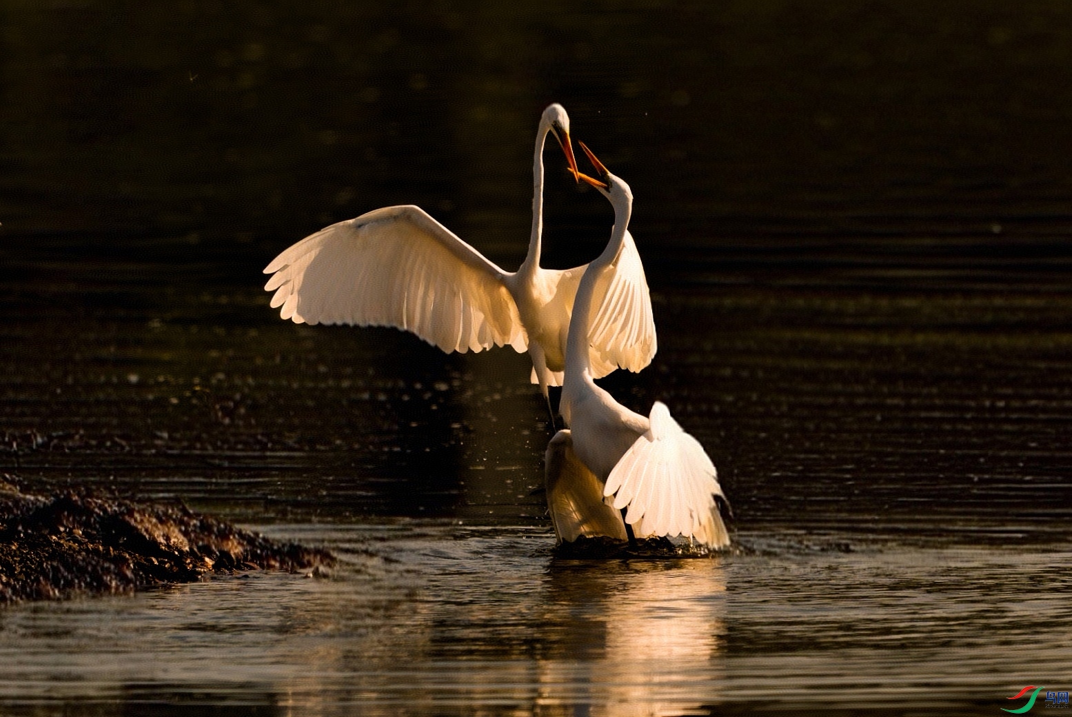 DSC04821-ARW_DxO_DeepPRIMEXD_polarr_edit_201329113170615.jpg