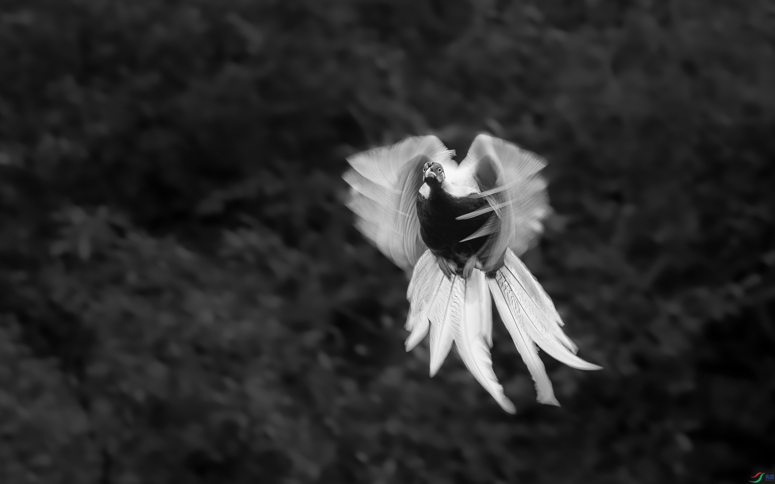 C0939a.jpg