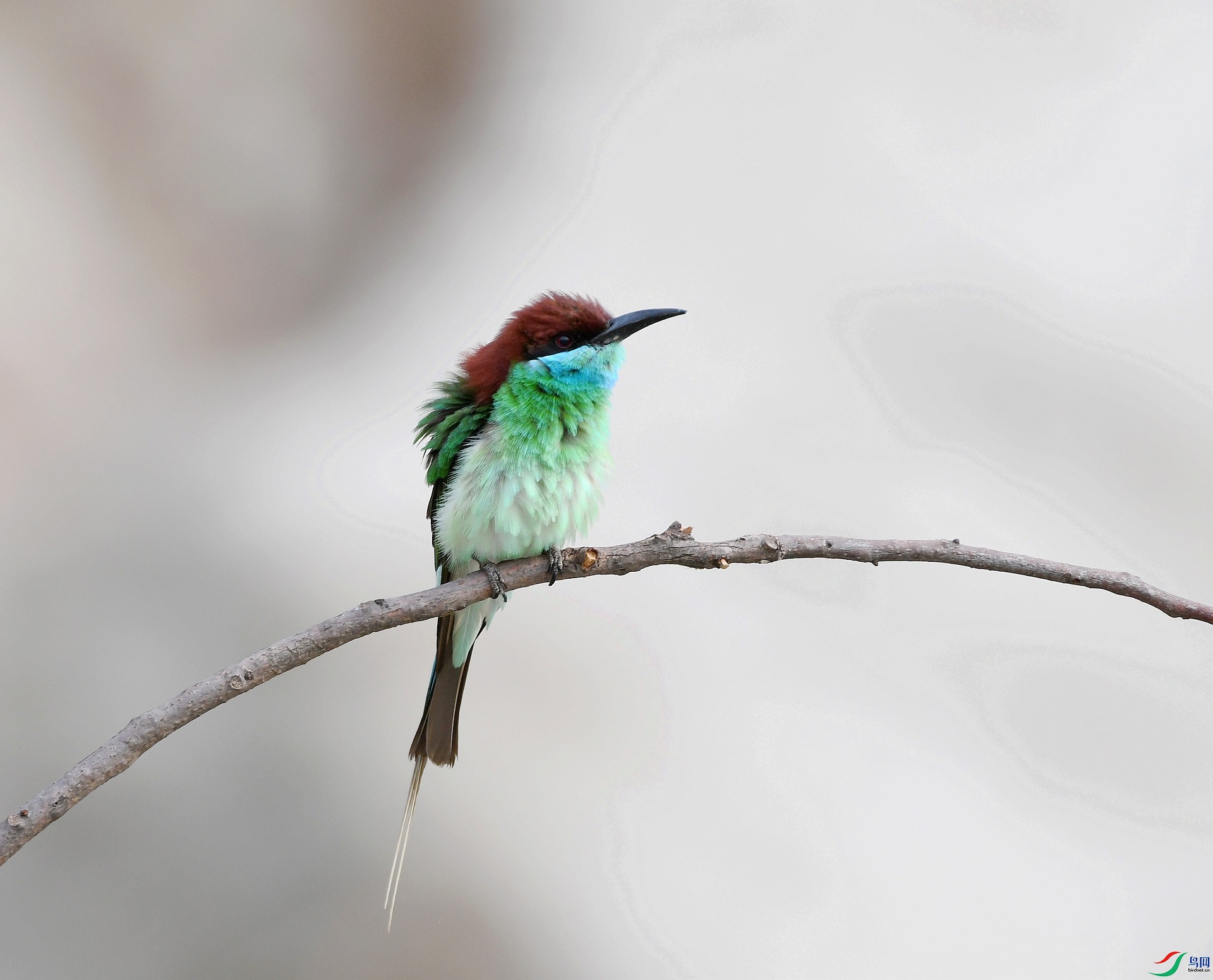 DSC_2671.jpg