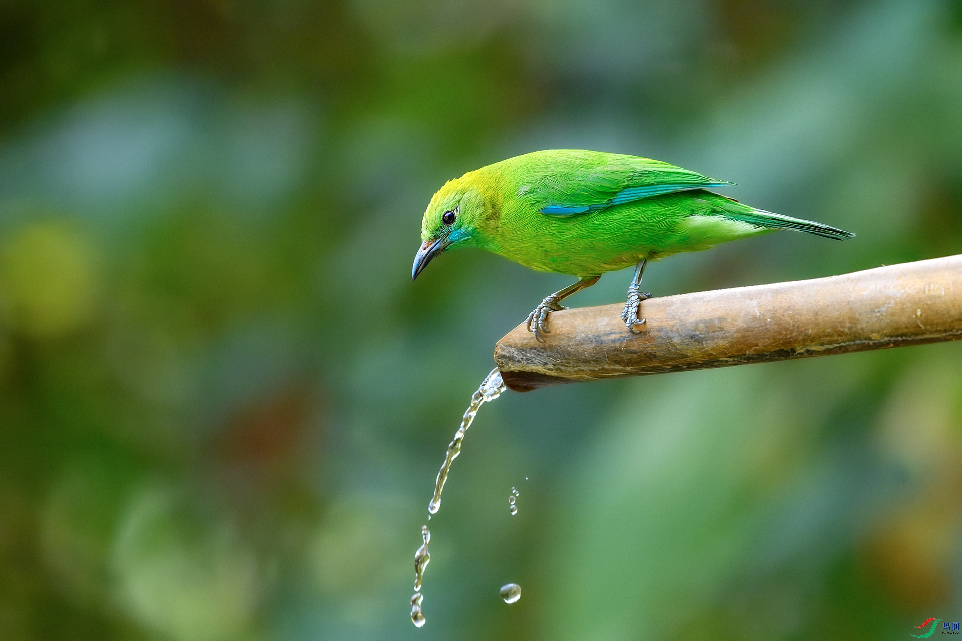 0_DSC1850-topaz-rawdenoise.jpg