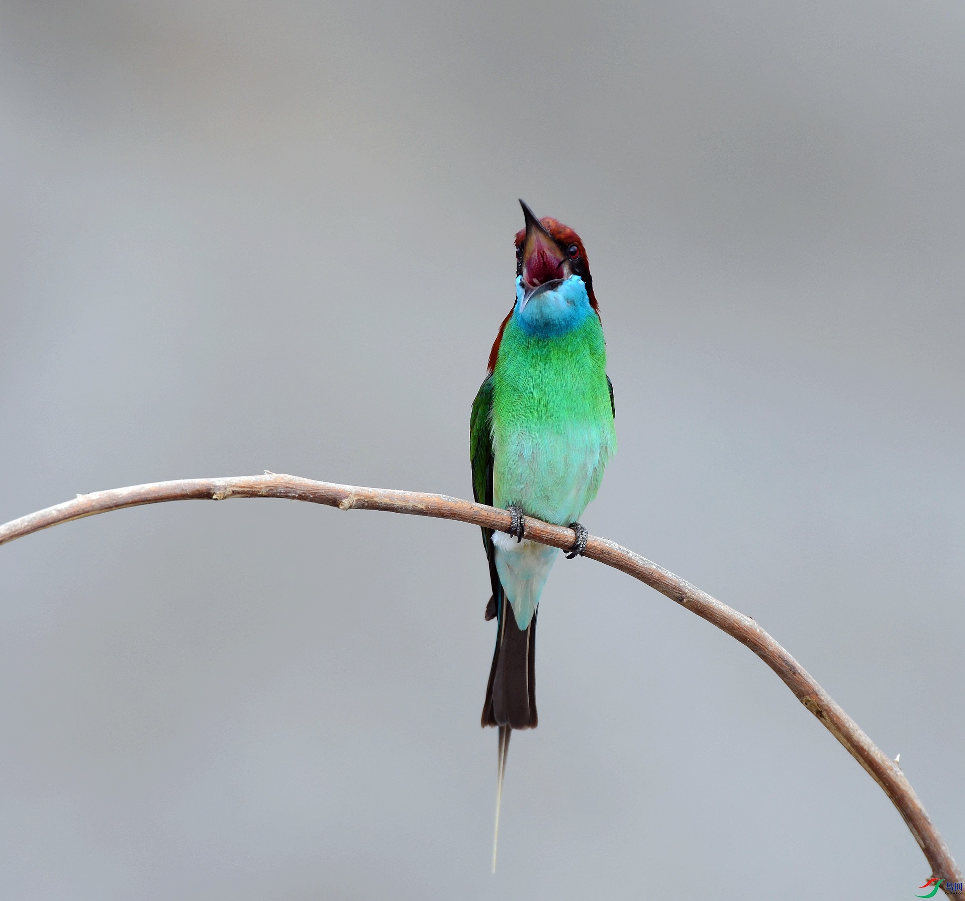 DSC_2452.jpg