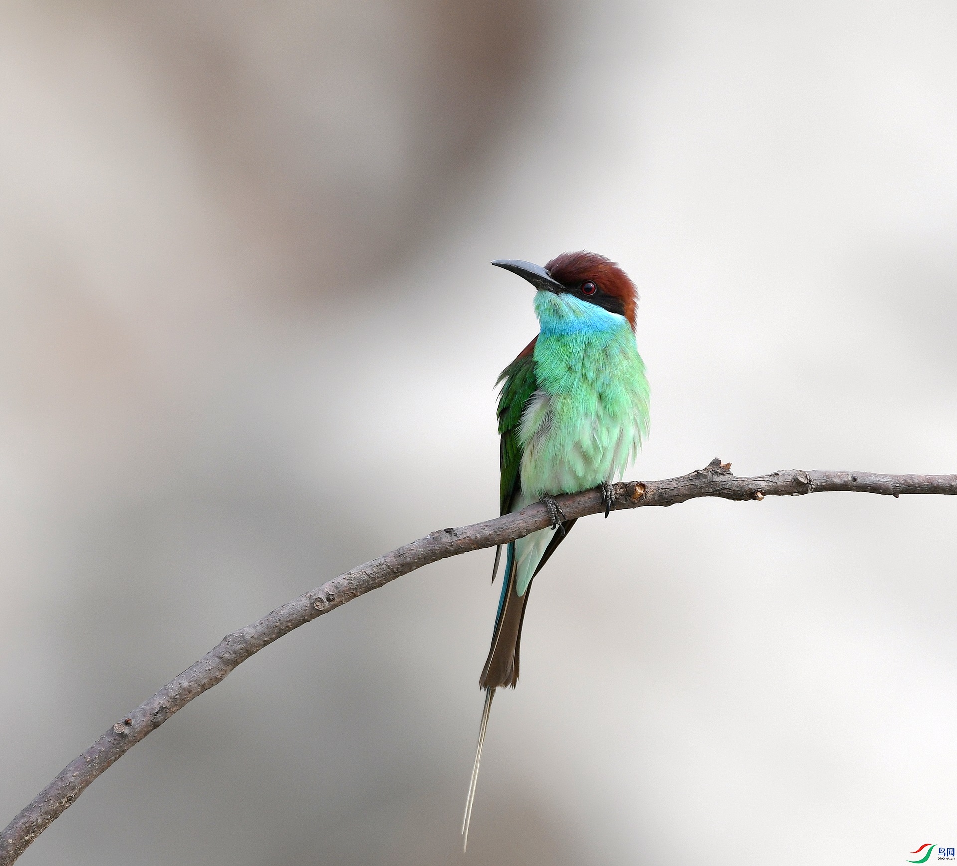 DSC_2668.jpg