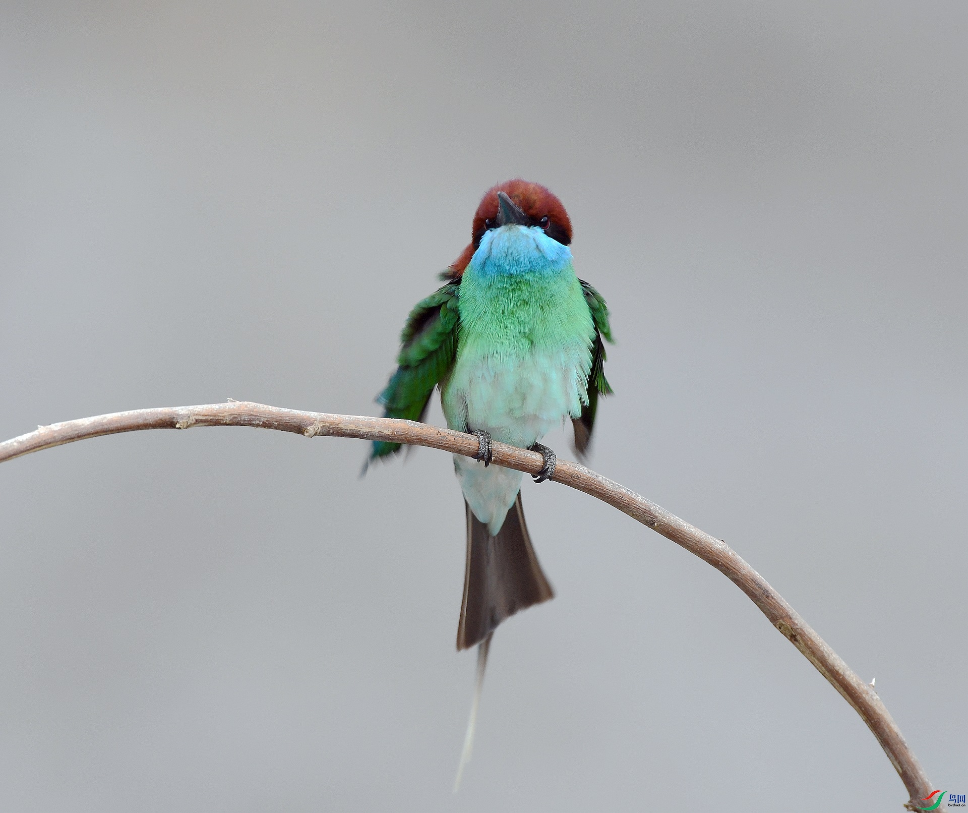 DSC_2422.jpg