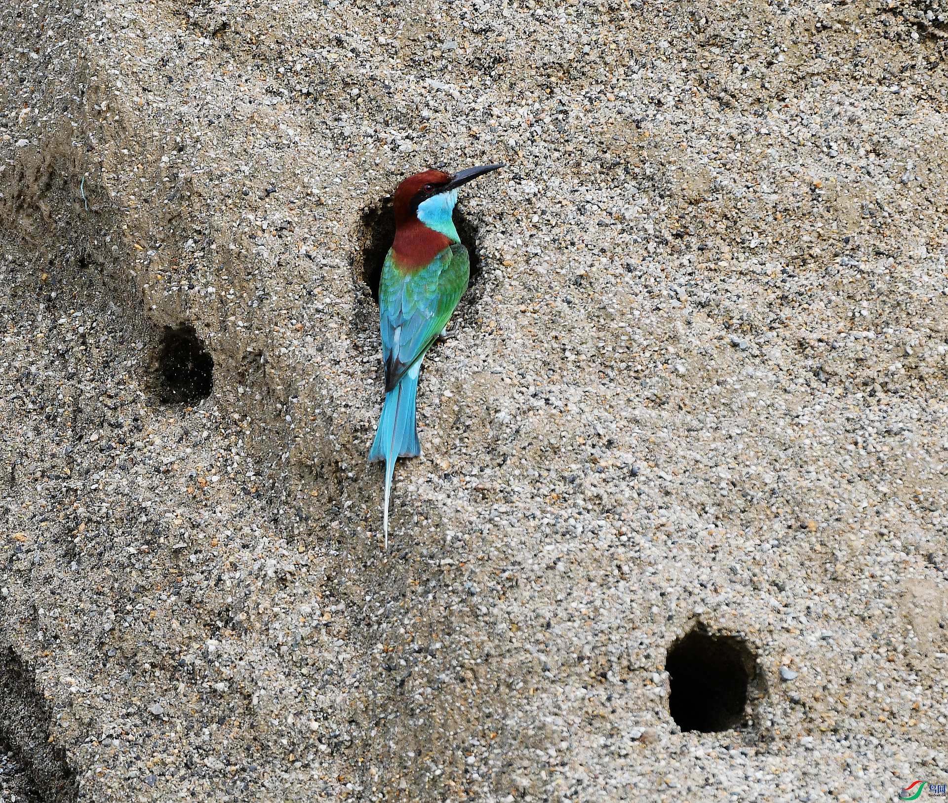 DSC_2654.jpg