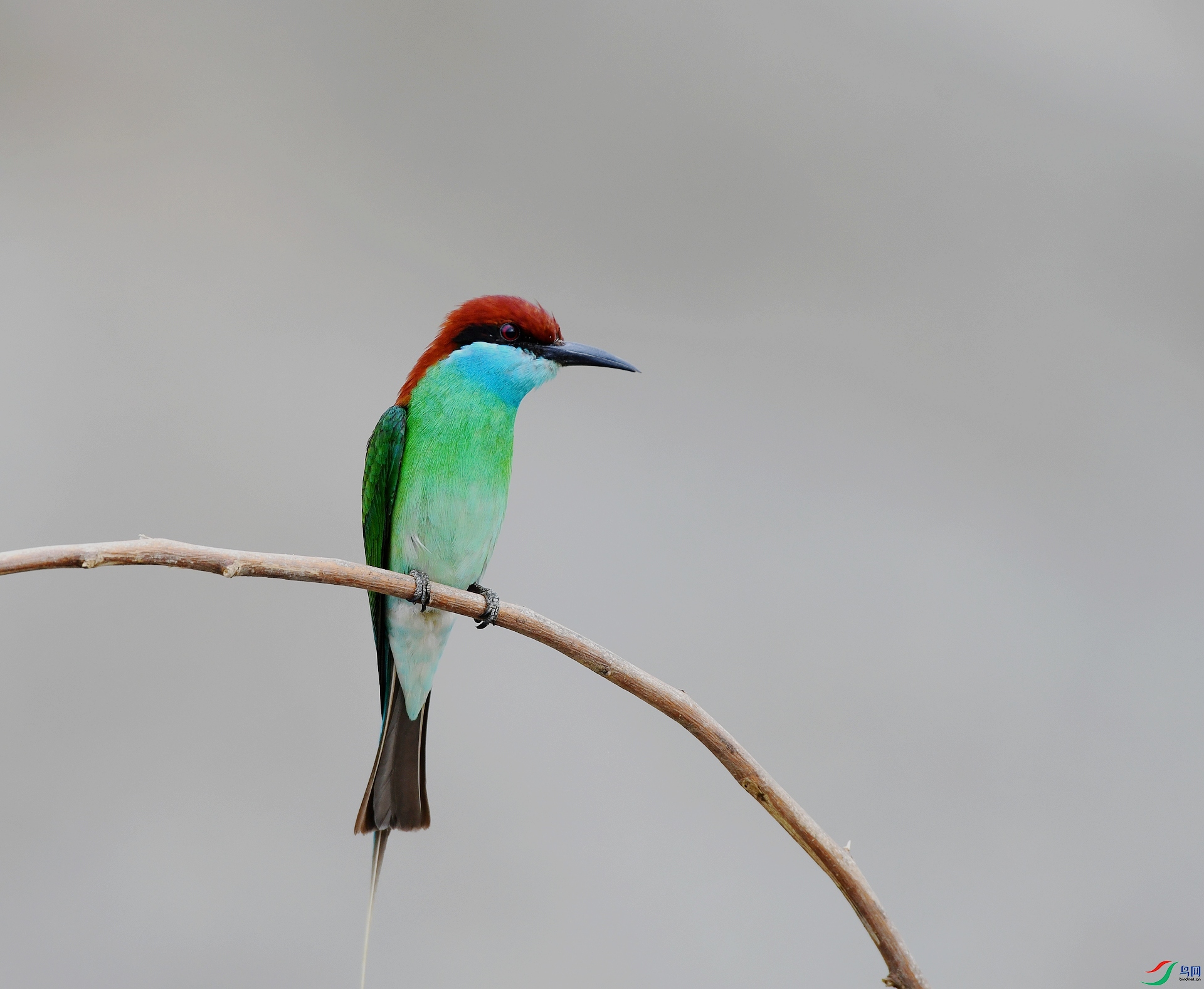 DSC_2408.jpg