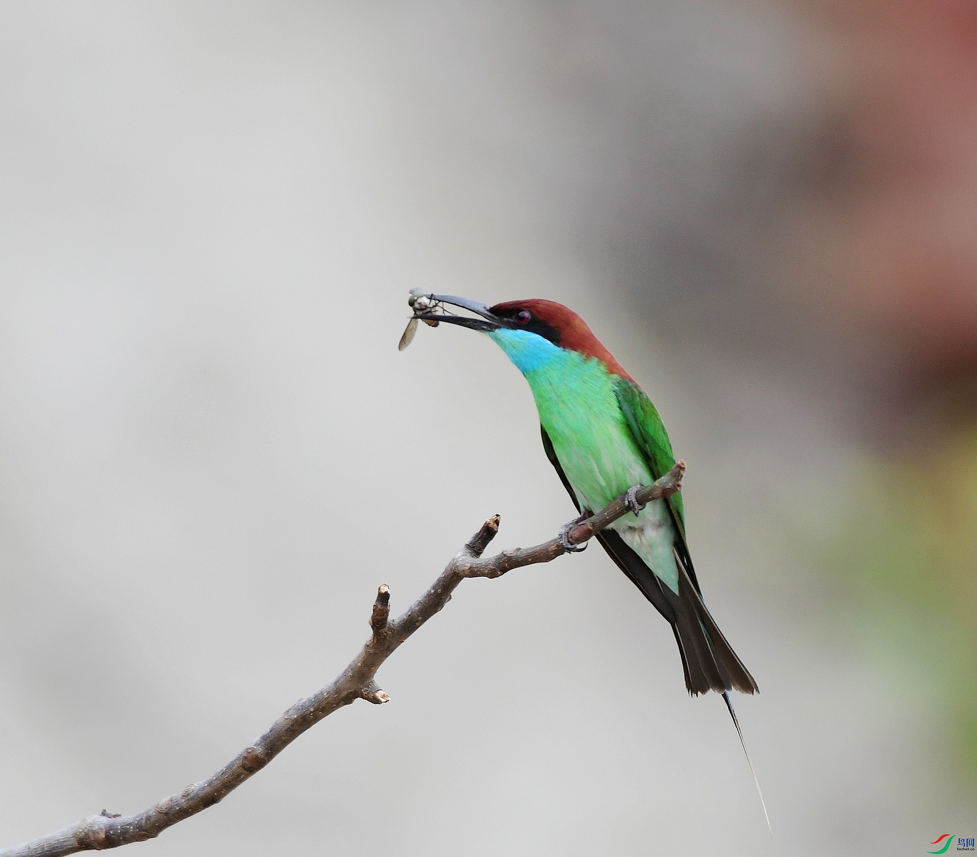 DSC_2290.jpg