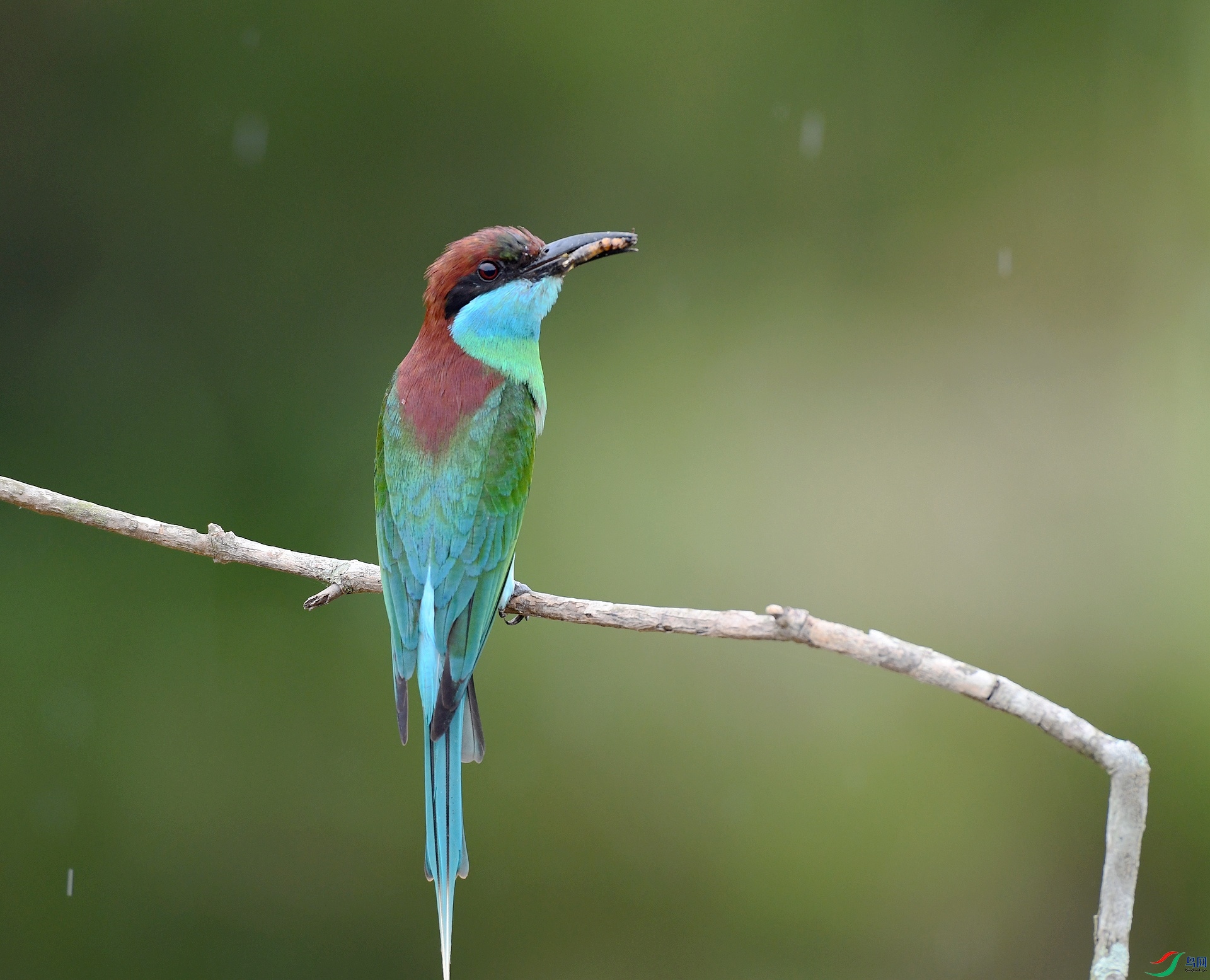 DSC_1708.jpg