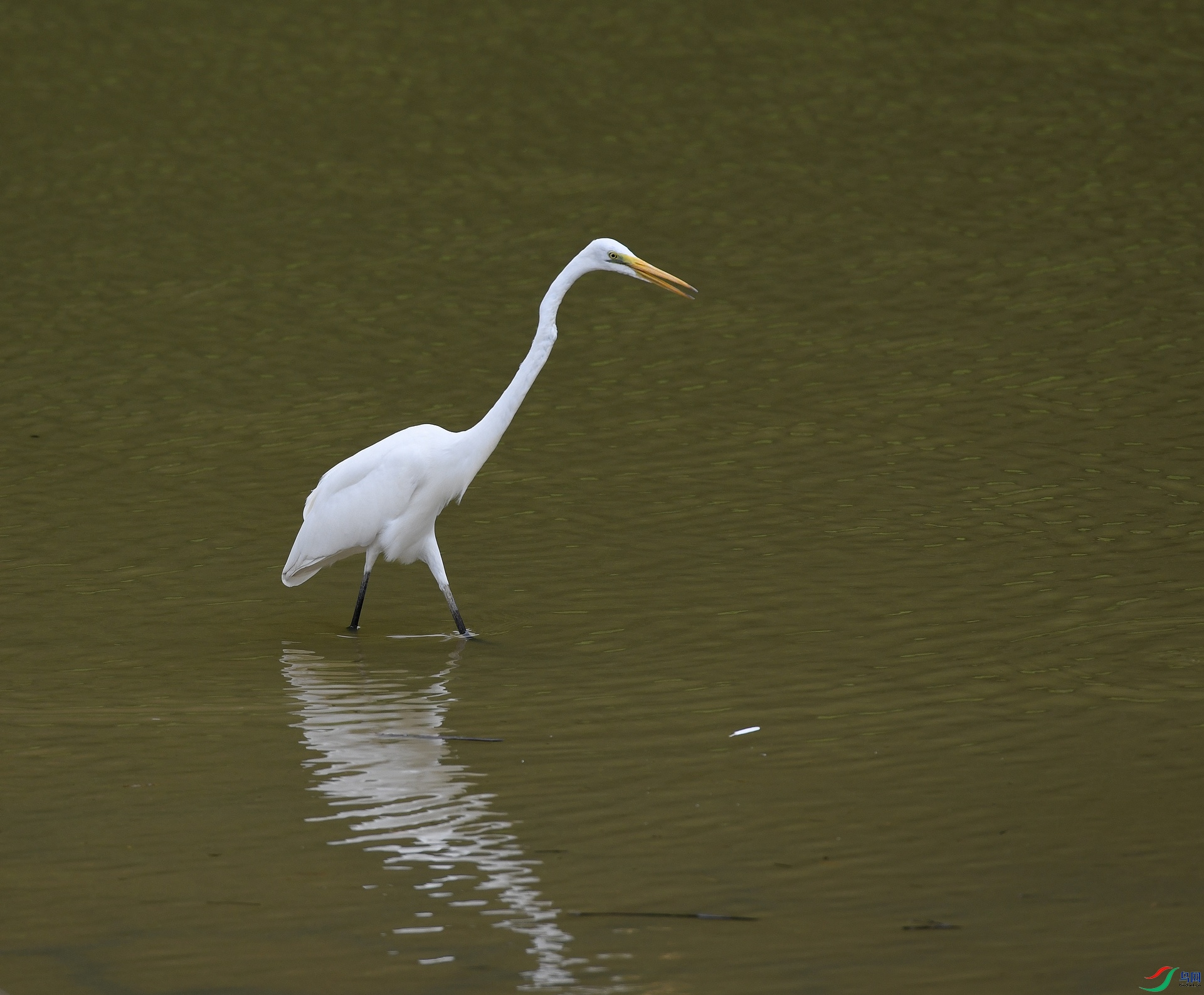 DSC_4896.jpg