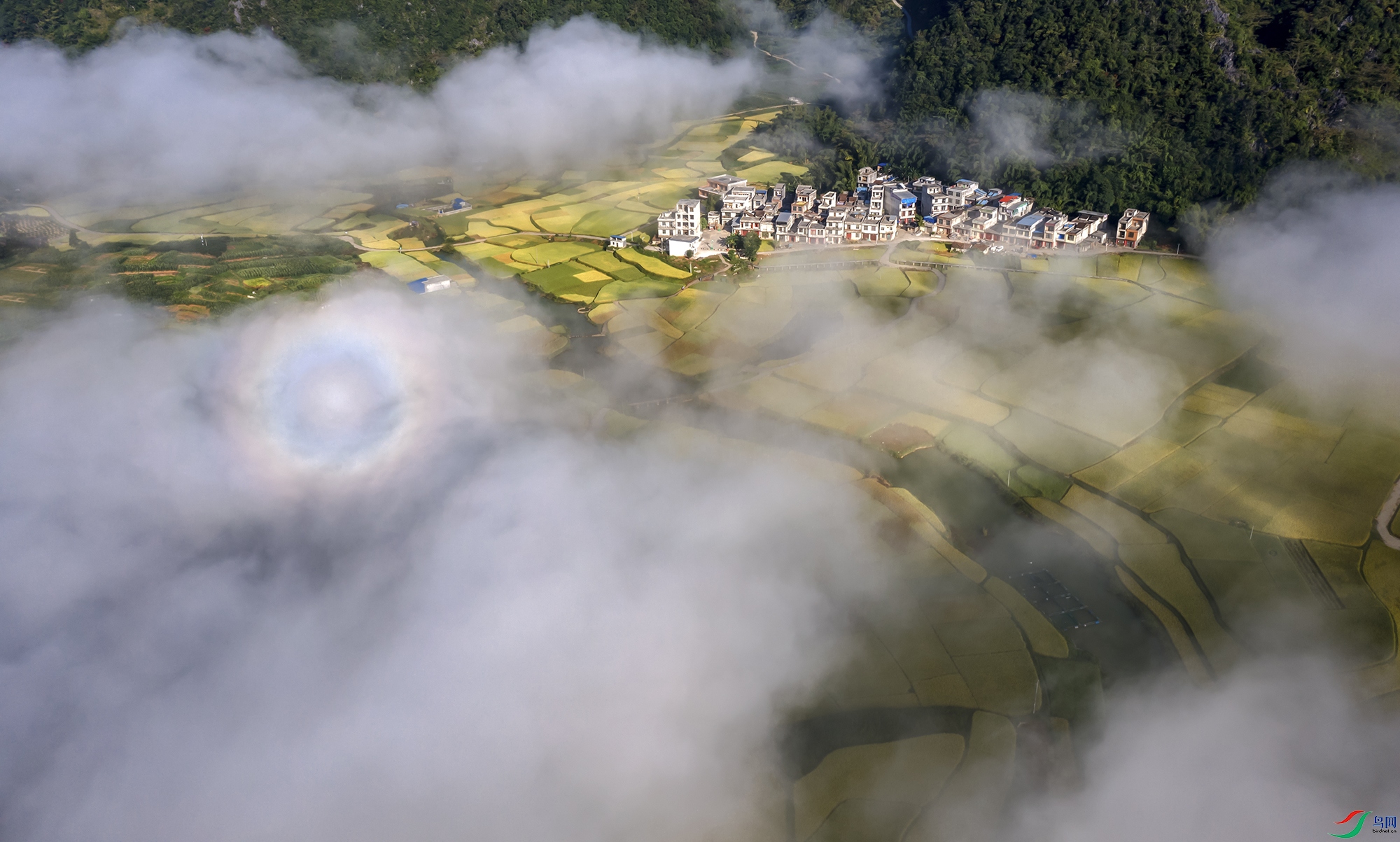 DJI_0109a11.jpg