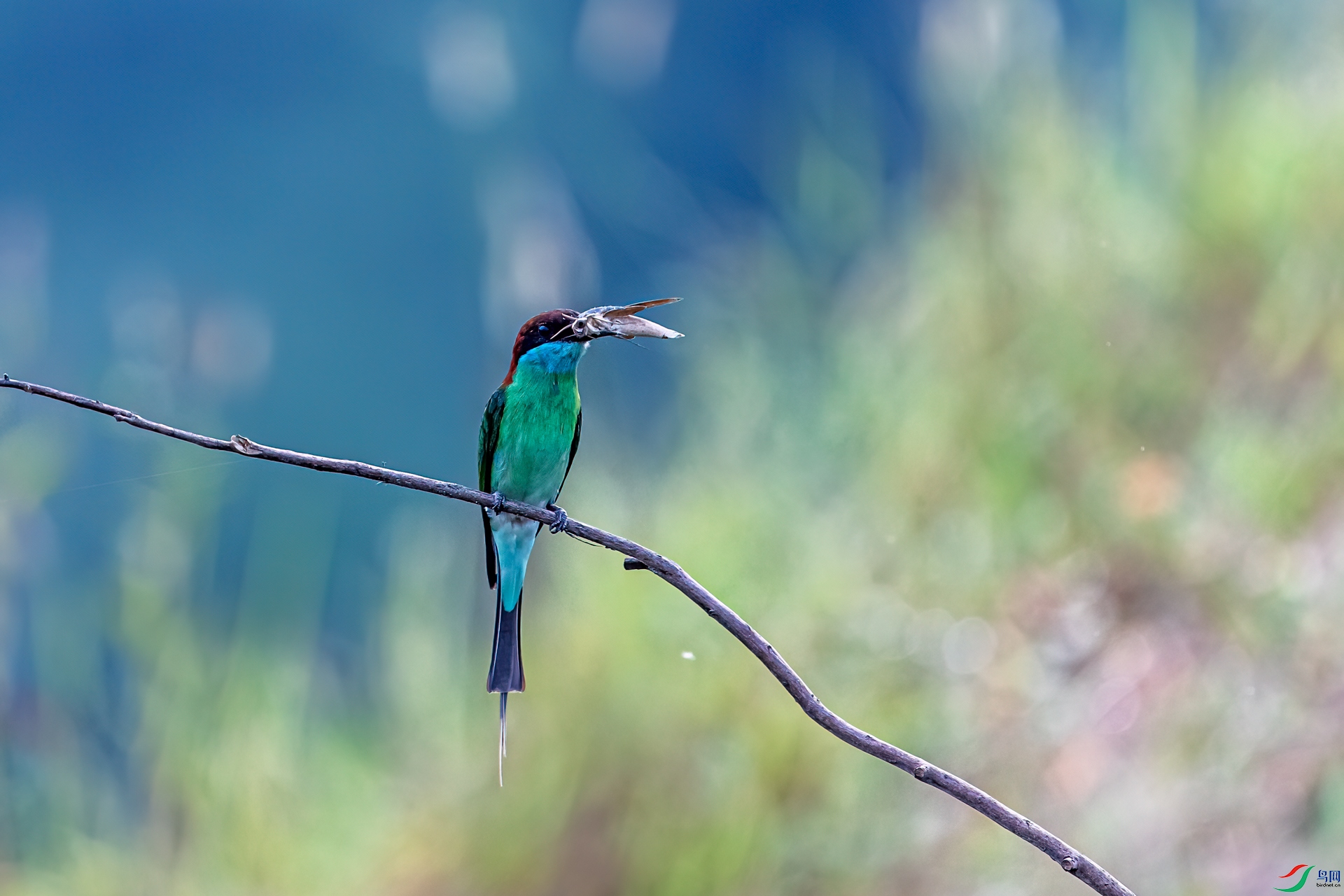 DSC_5803-11.jpg