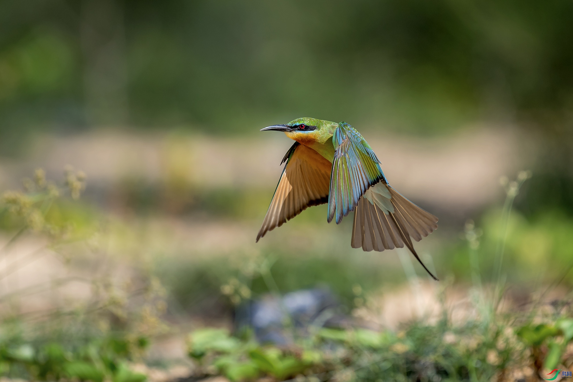 DSC_0055.jpg