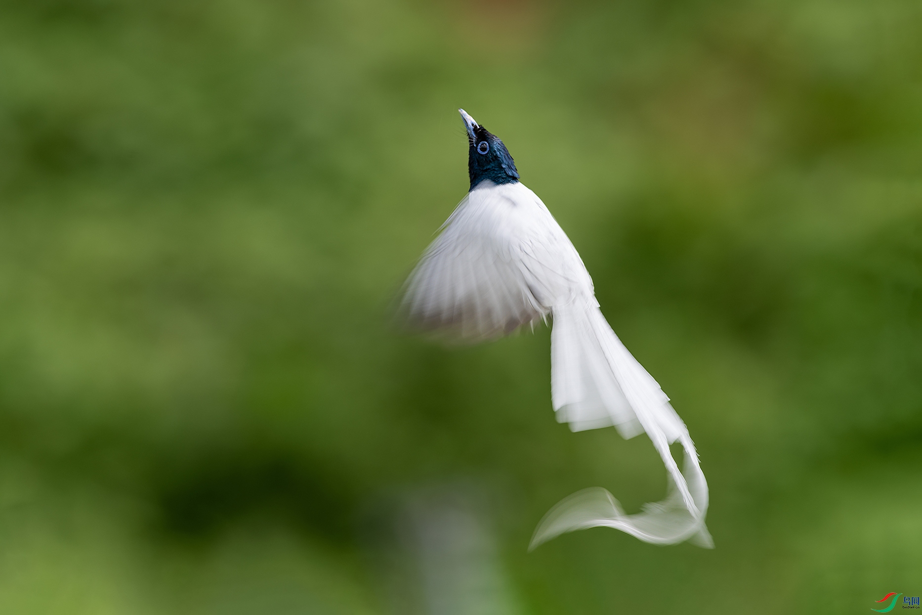 4DSC_6867_DxOa.jpg