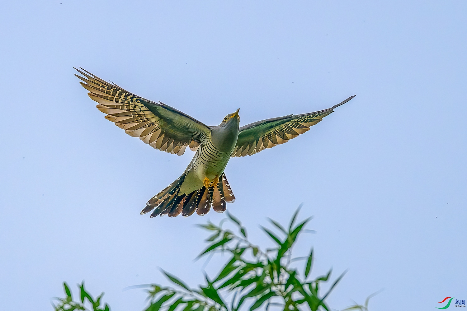 DSC_1916b.jpg