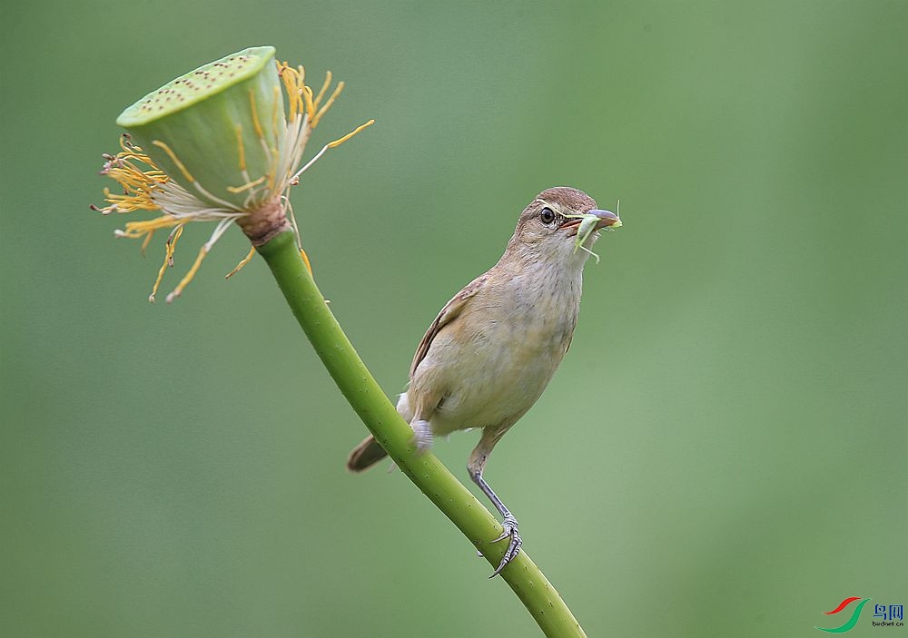 D72T0637.JPG